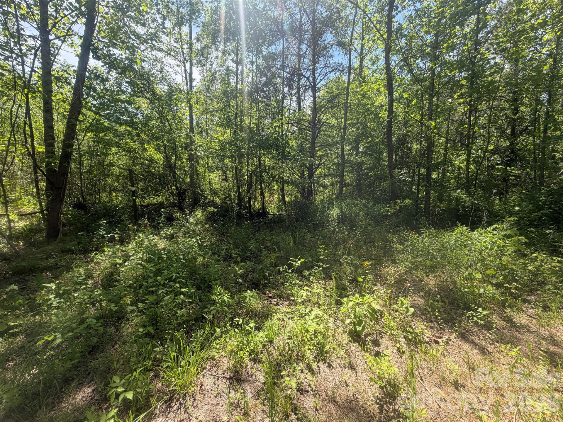 1411 Cedar Creek Road - Photo 45