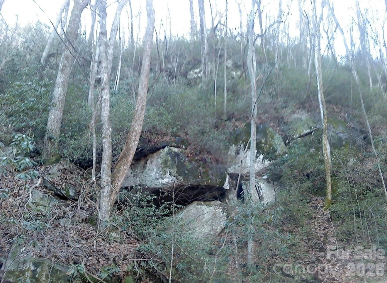 1411 Cedar Creek Road - Photo 43