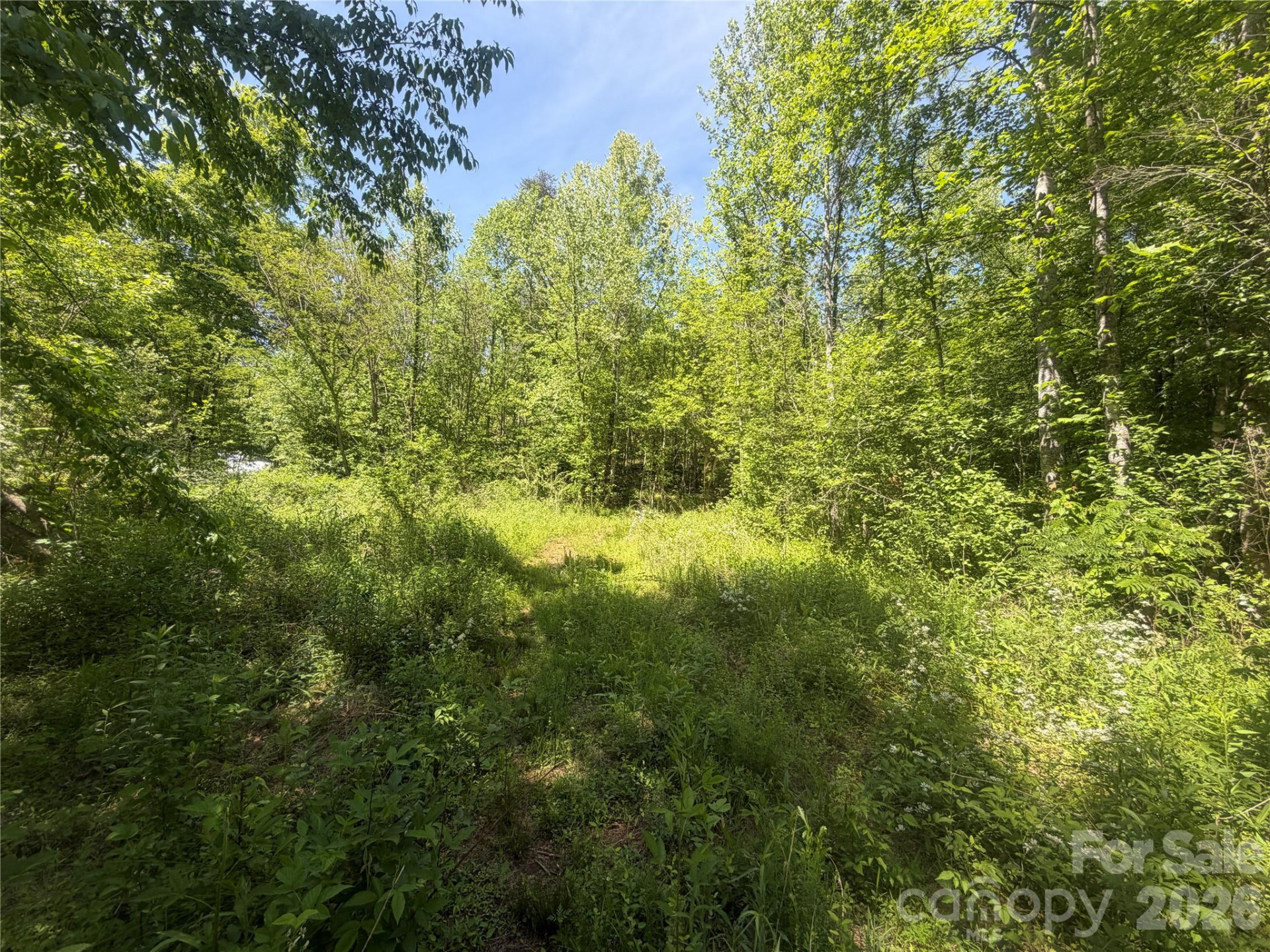 1411 Cedar Creek Road - Photo 46