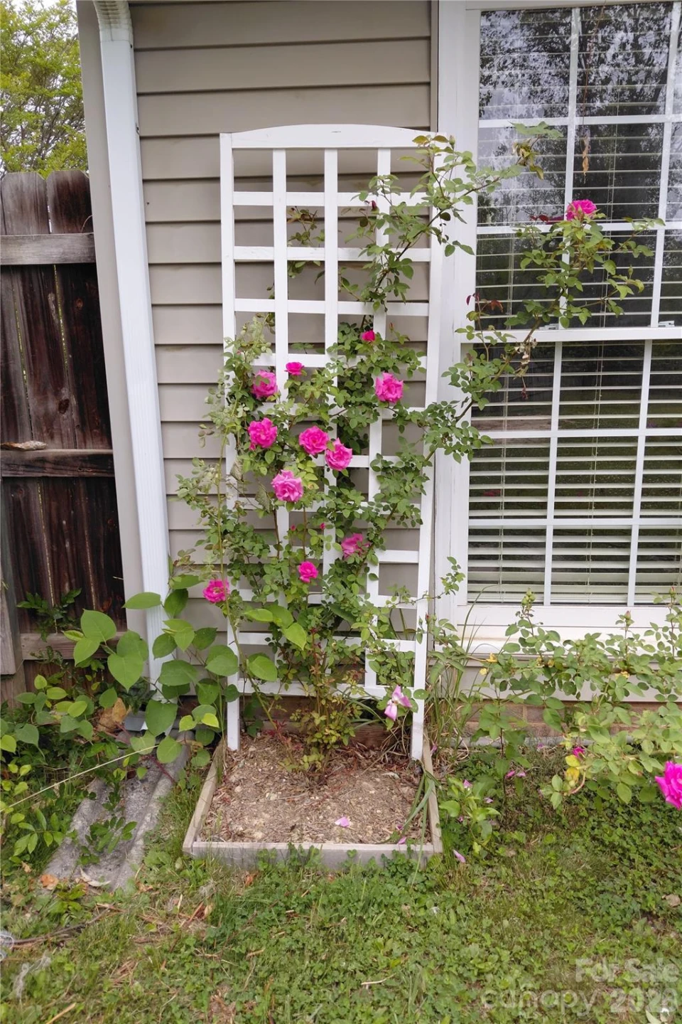 1016 Thorncrest Drive - Photo 35