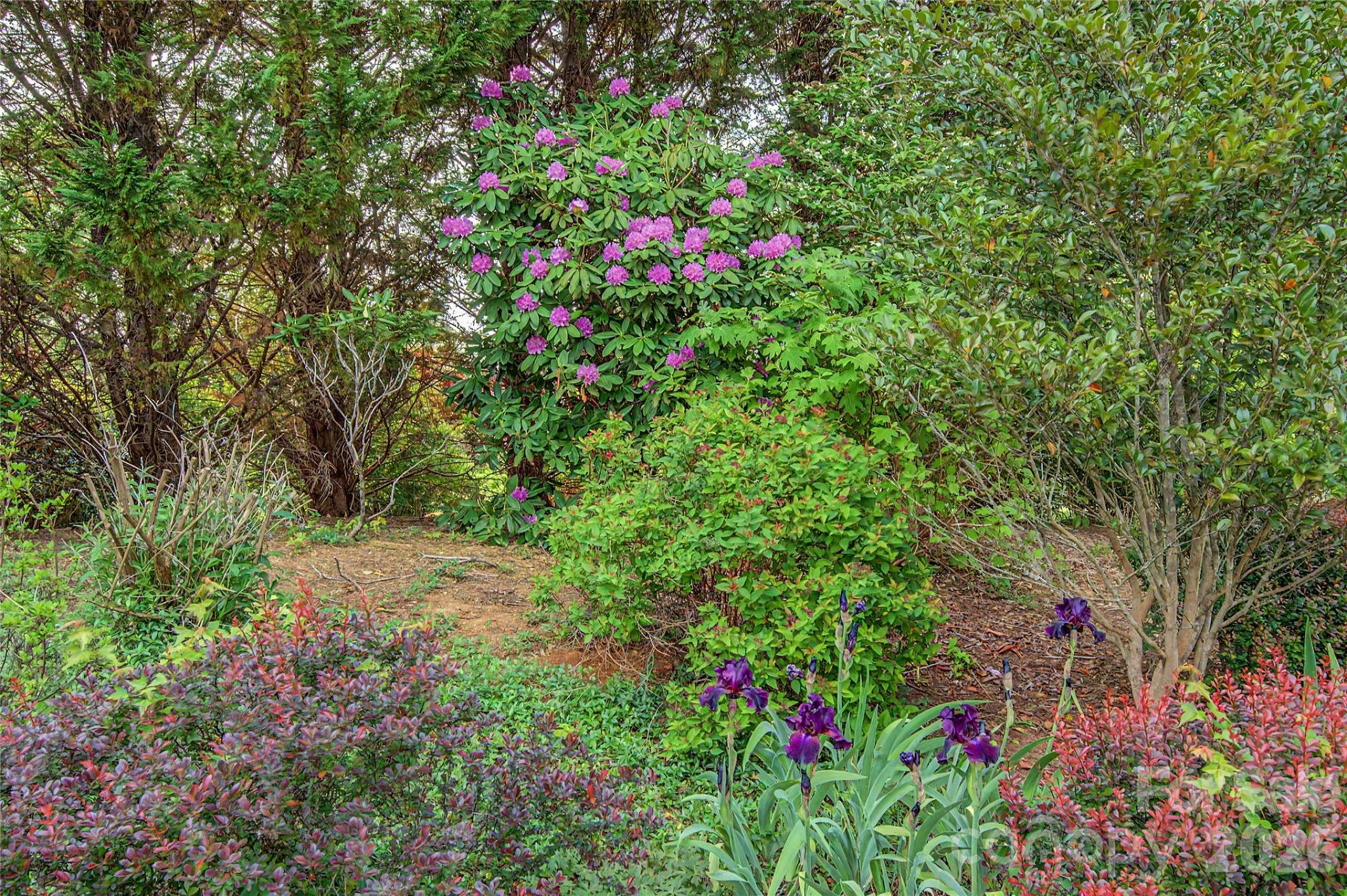 57 Talon Trail Lane - Photo 40