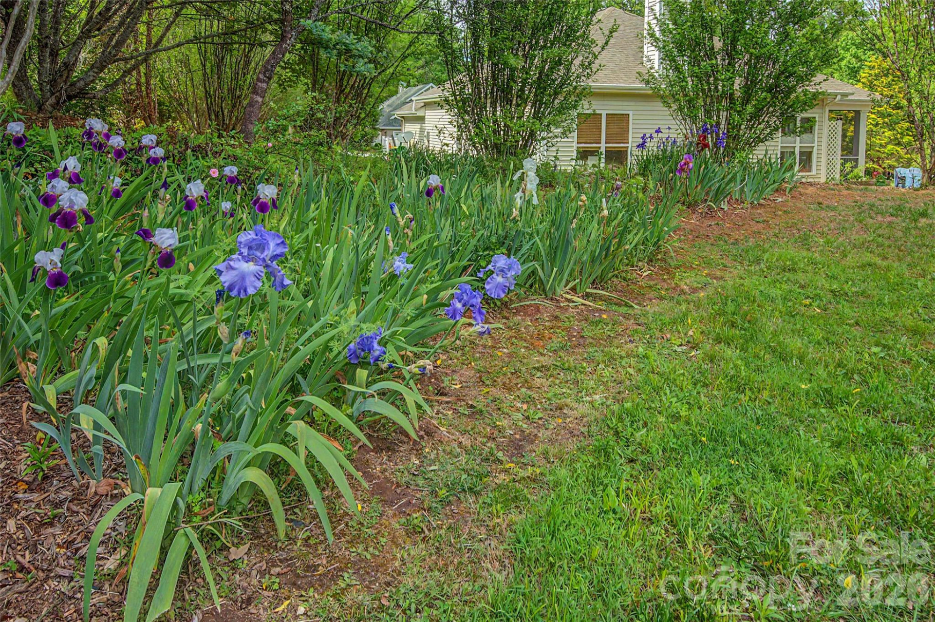 57 Talon Trail Lane - Photo 41