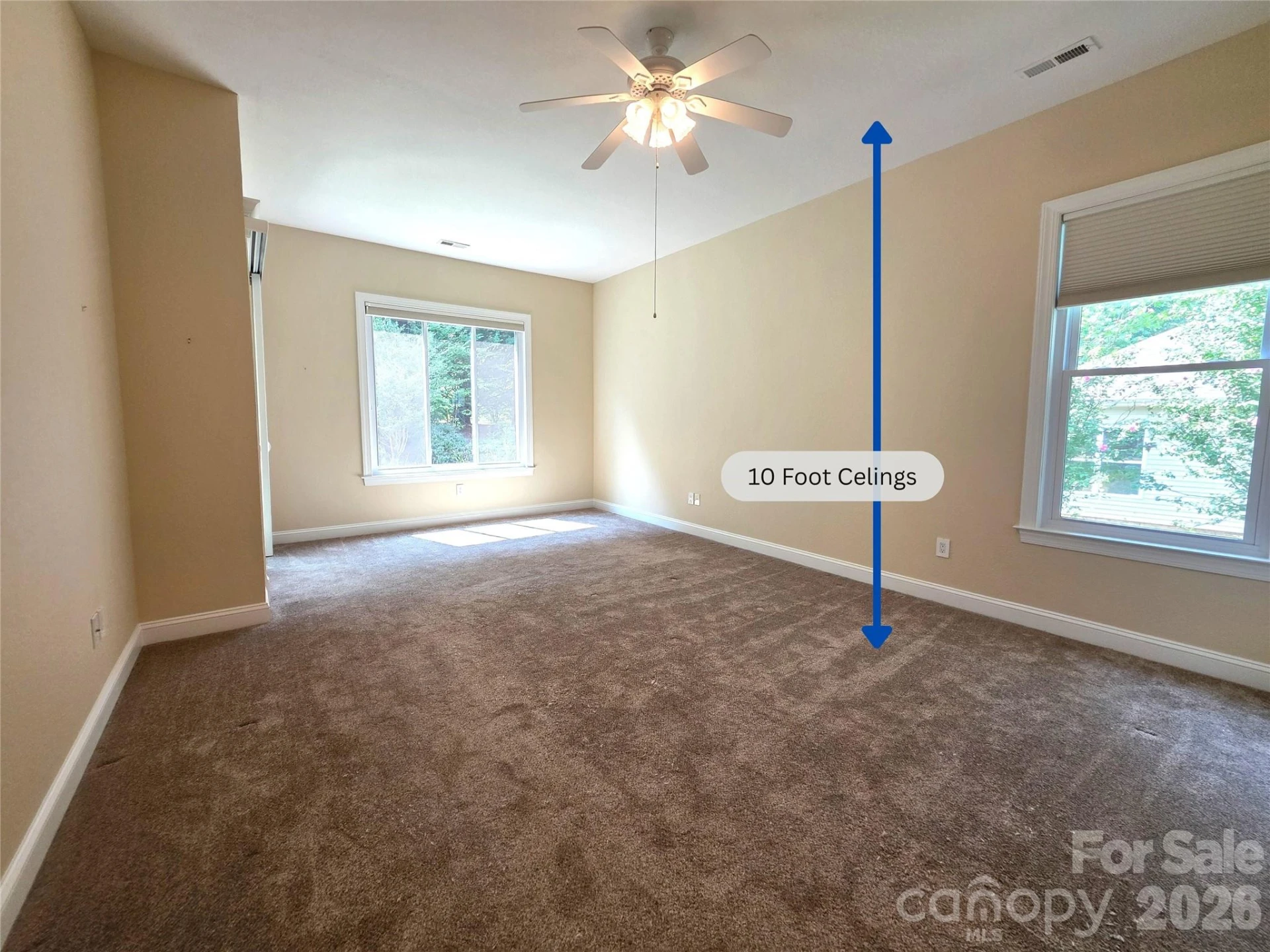 57 Talon Trail Lane - Photo 6