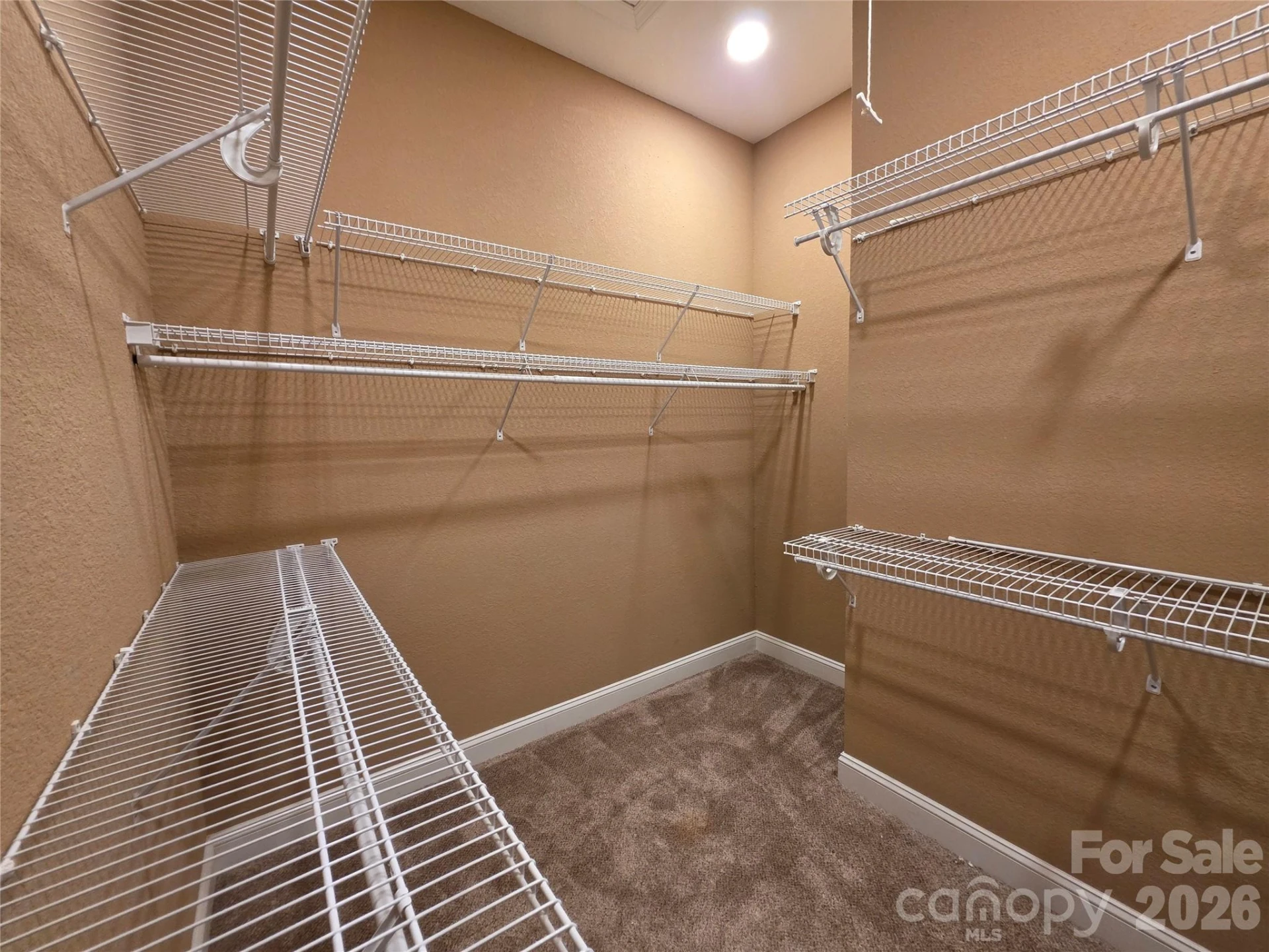 57 Talon Trail Lane - Photo 7