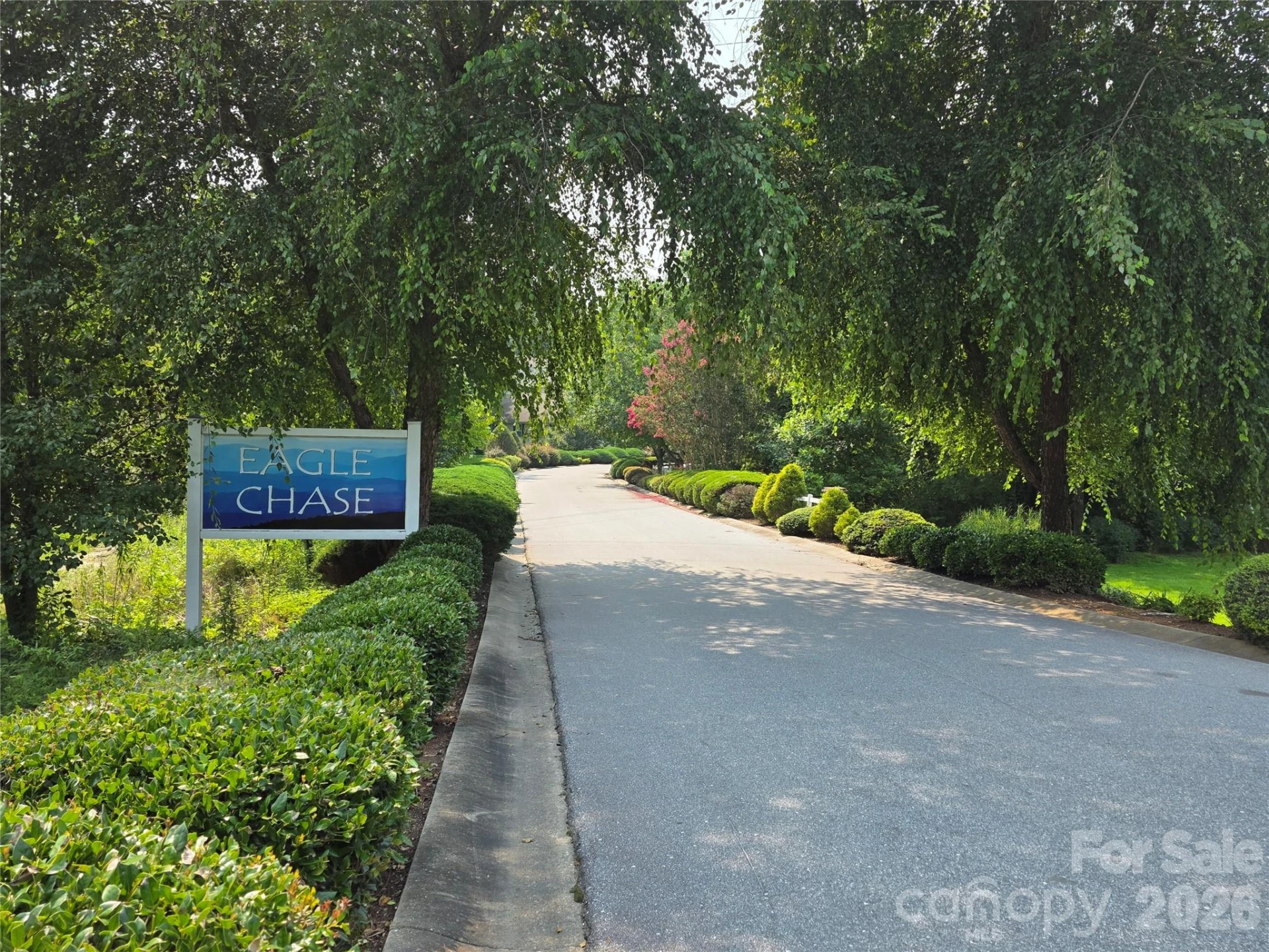 57 Talon Trail Lane - Photo 46