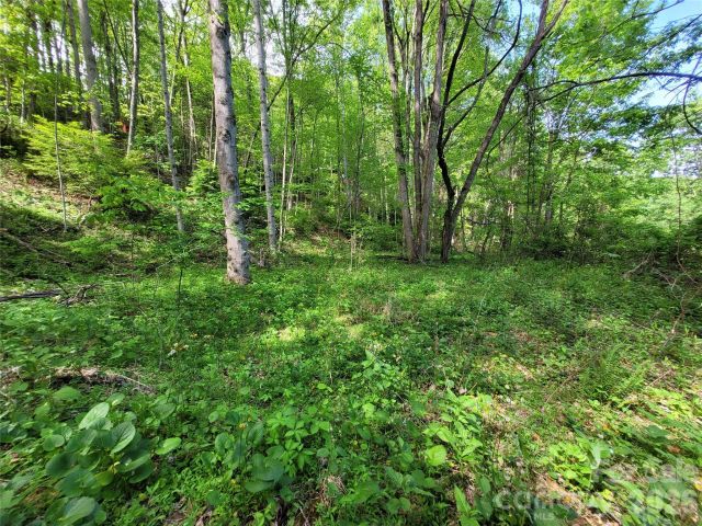 00 Fox Run, Waynesville, NC, 28785