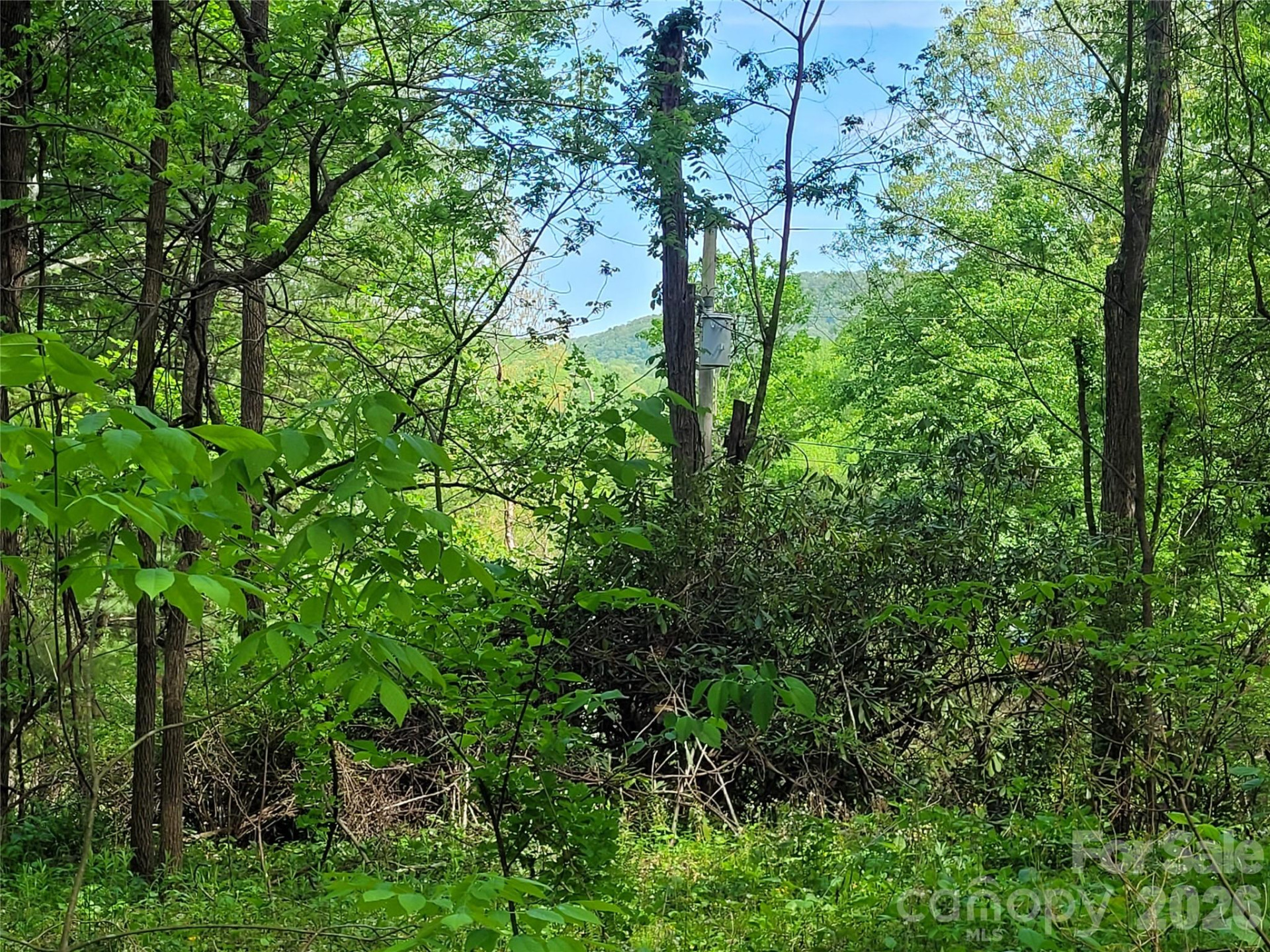 00 Fox Run - Photo 2