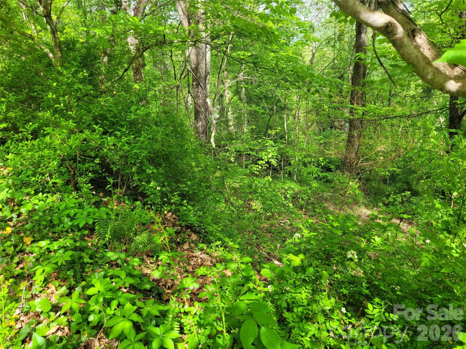 00 Fox Run Road - Photo 11