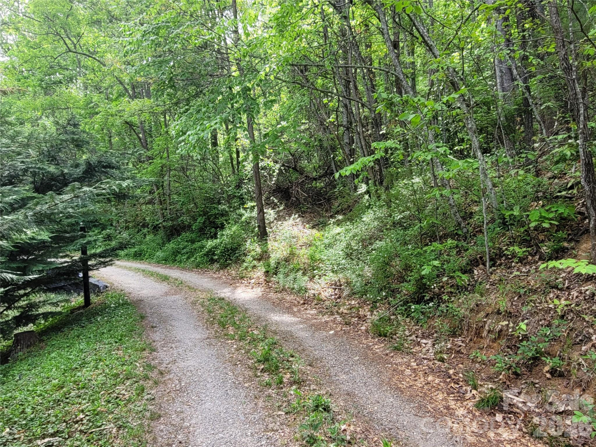 00 Fox Run - Photo 3