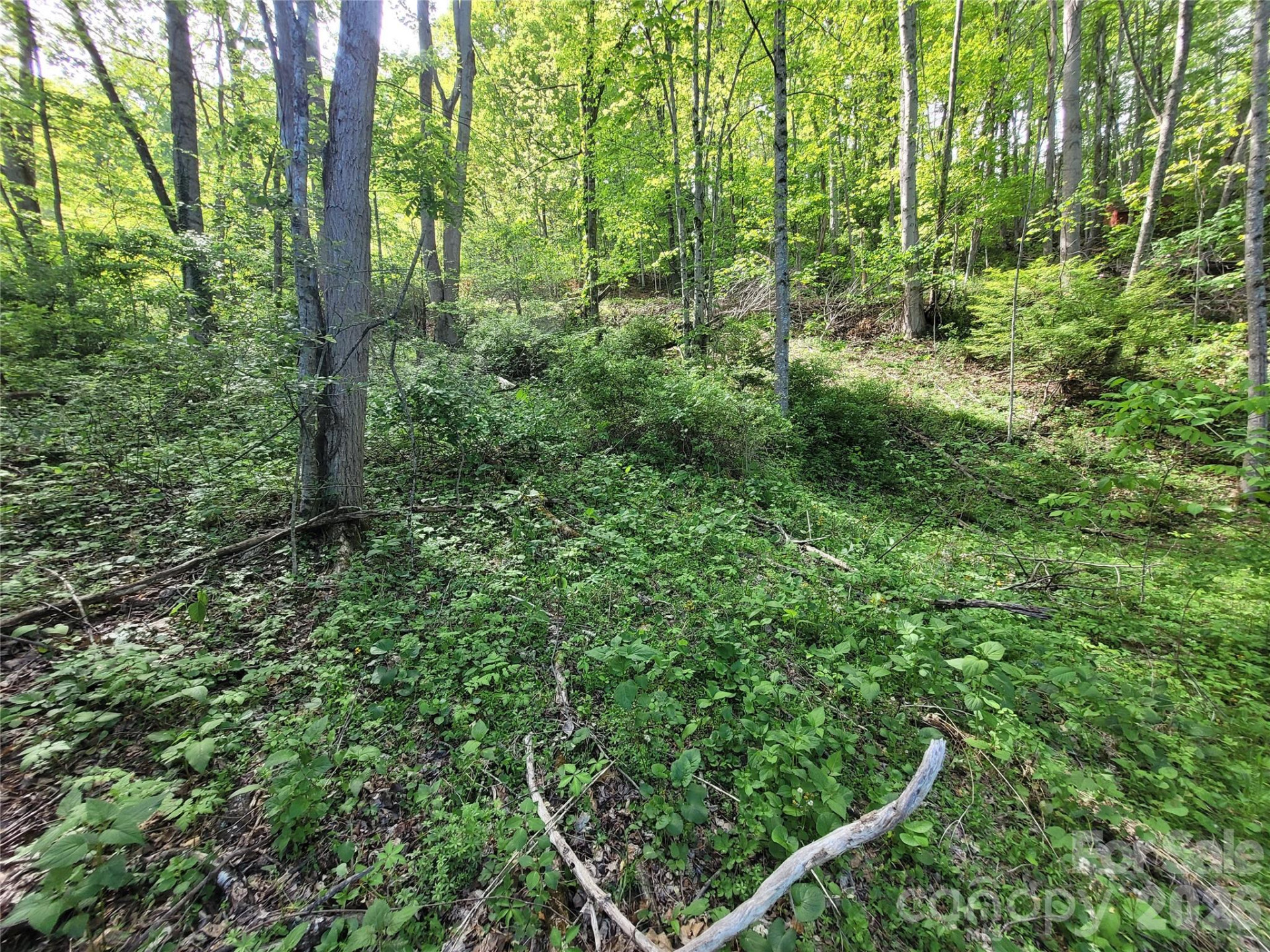 00 Fox Run - Photo 4