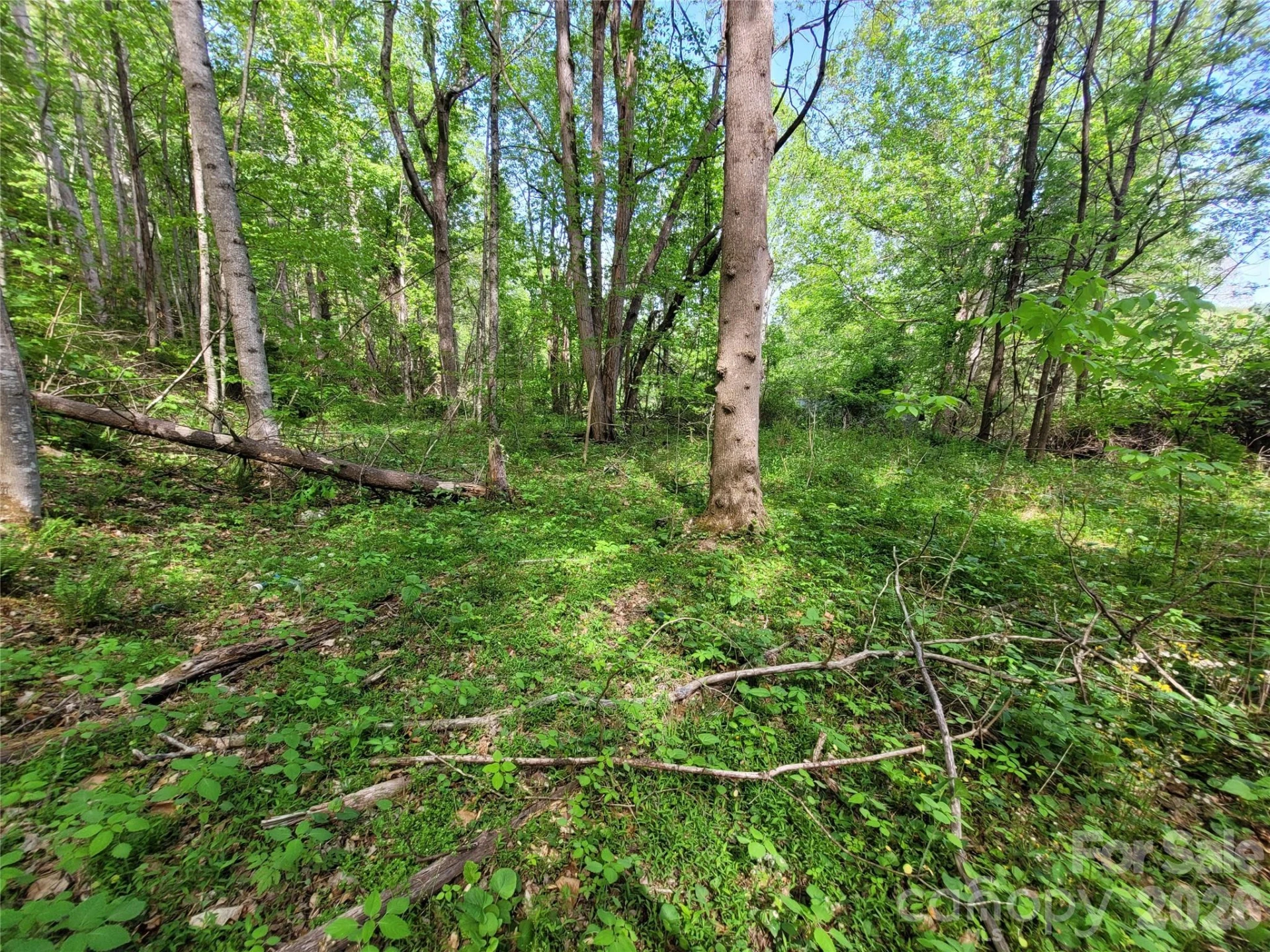 00 Fox Run Road - Photo 5