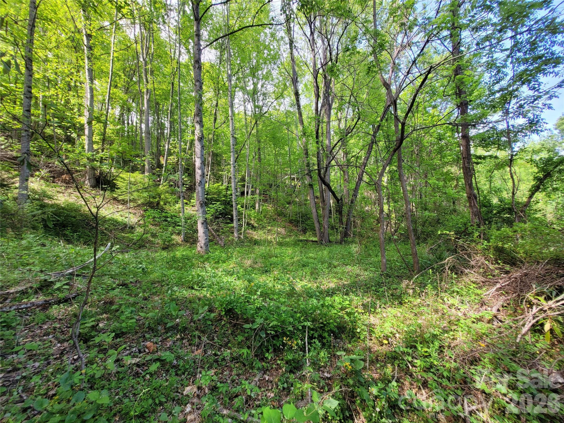 00 Fox Run - Photo 6