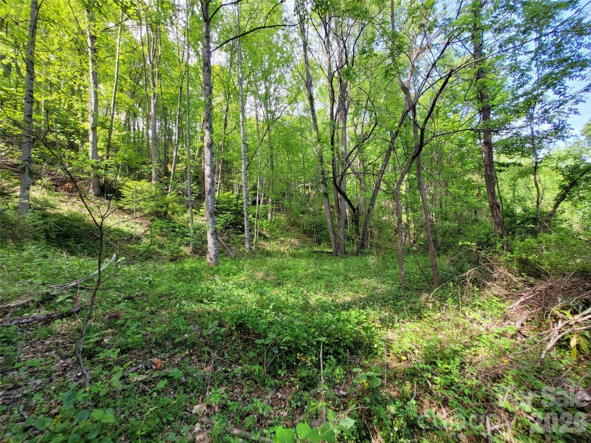 00 Fox Run Road - Photo 6
