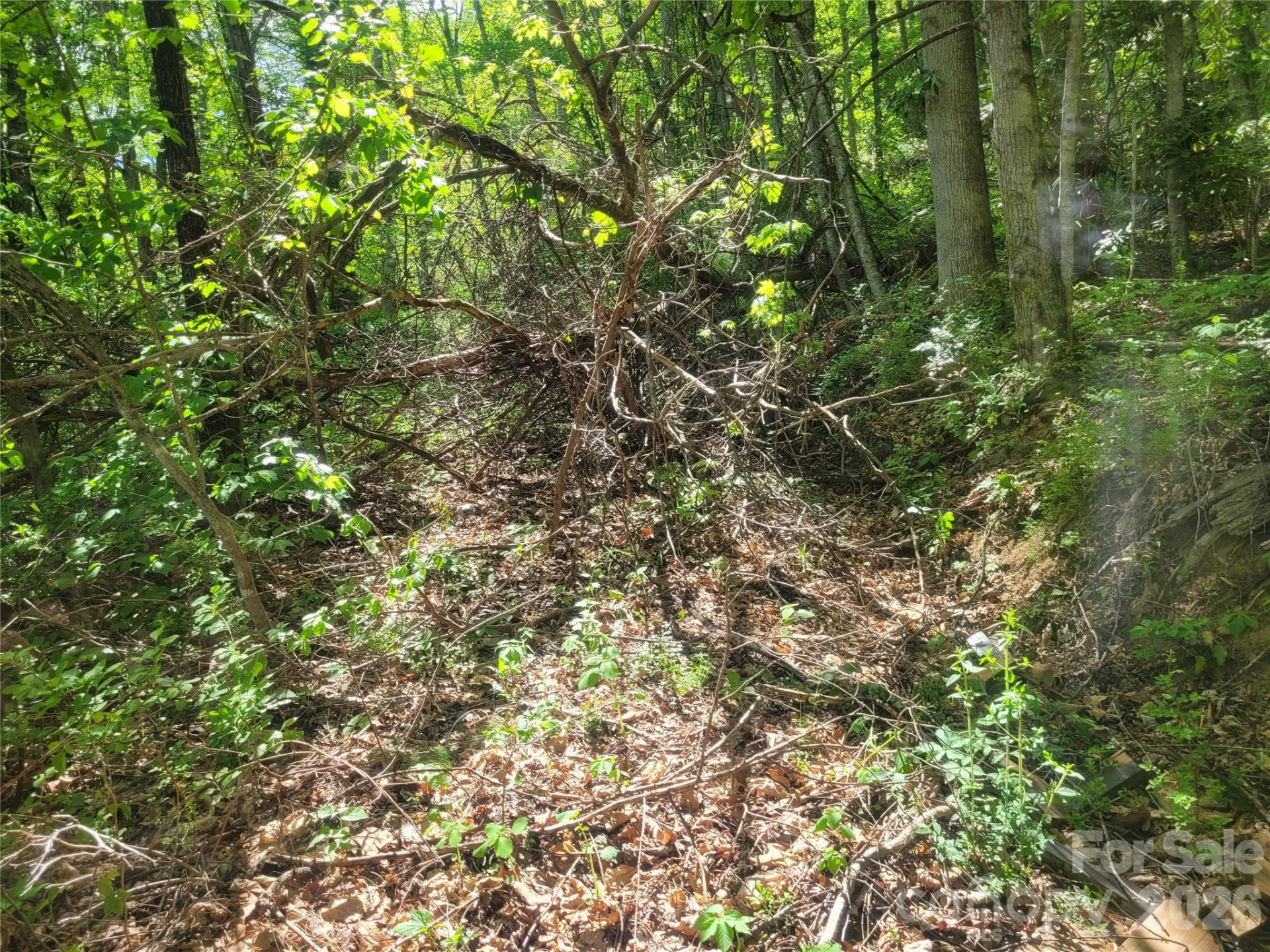 00 Fox Run - Photo 7