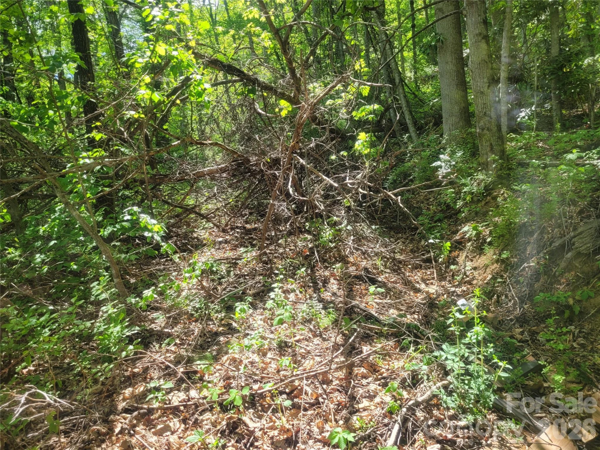 00 Fox Run Road - Photo 7