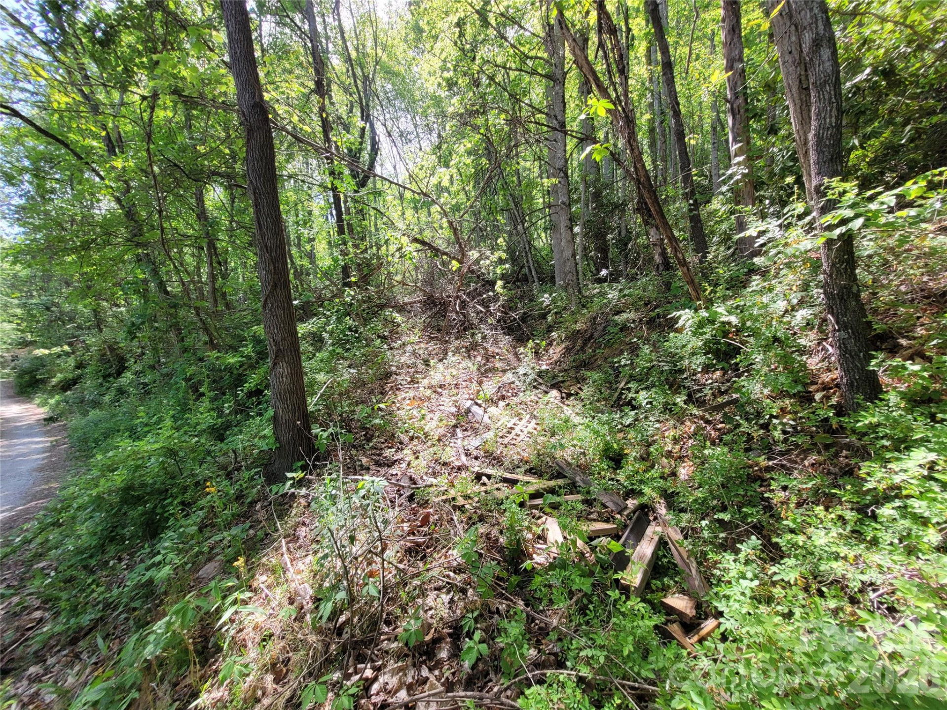 00 Fox Run - Photo 8