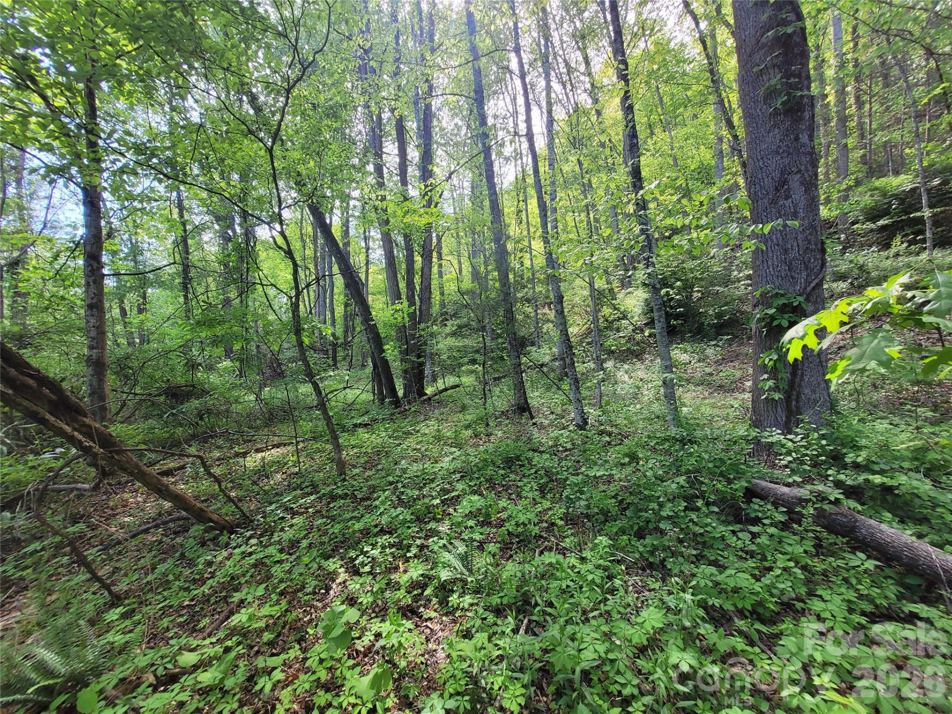 00 Fox Run - Photo 9