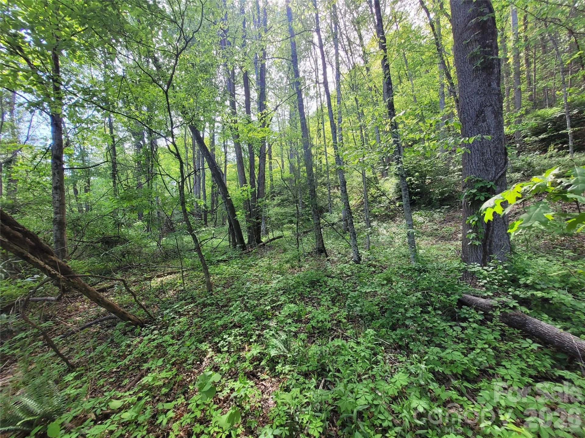 00 Fox Run Road - Photo 9
