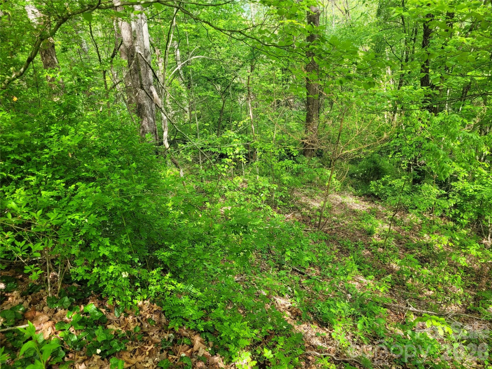 00 Fox Run Road - Photo 10