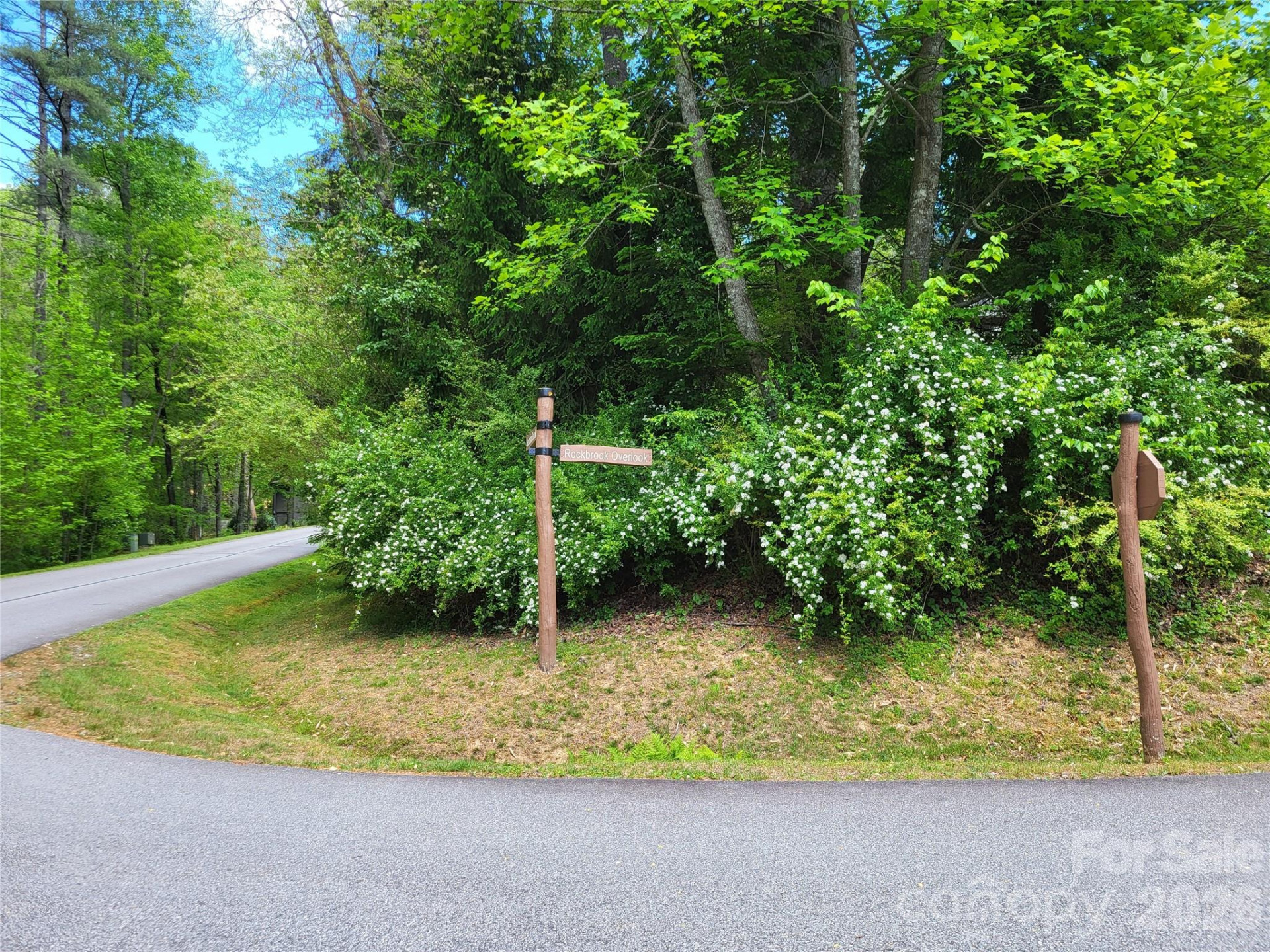 20 Rockbrook Overlook #L20 - Photo 2