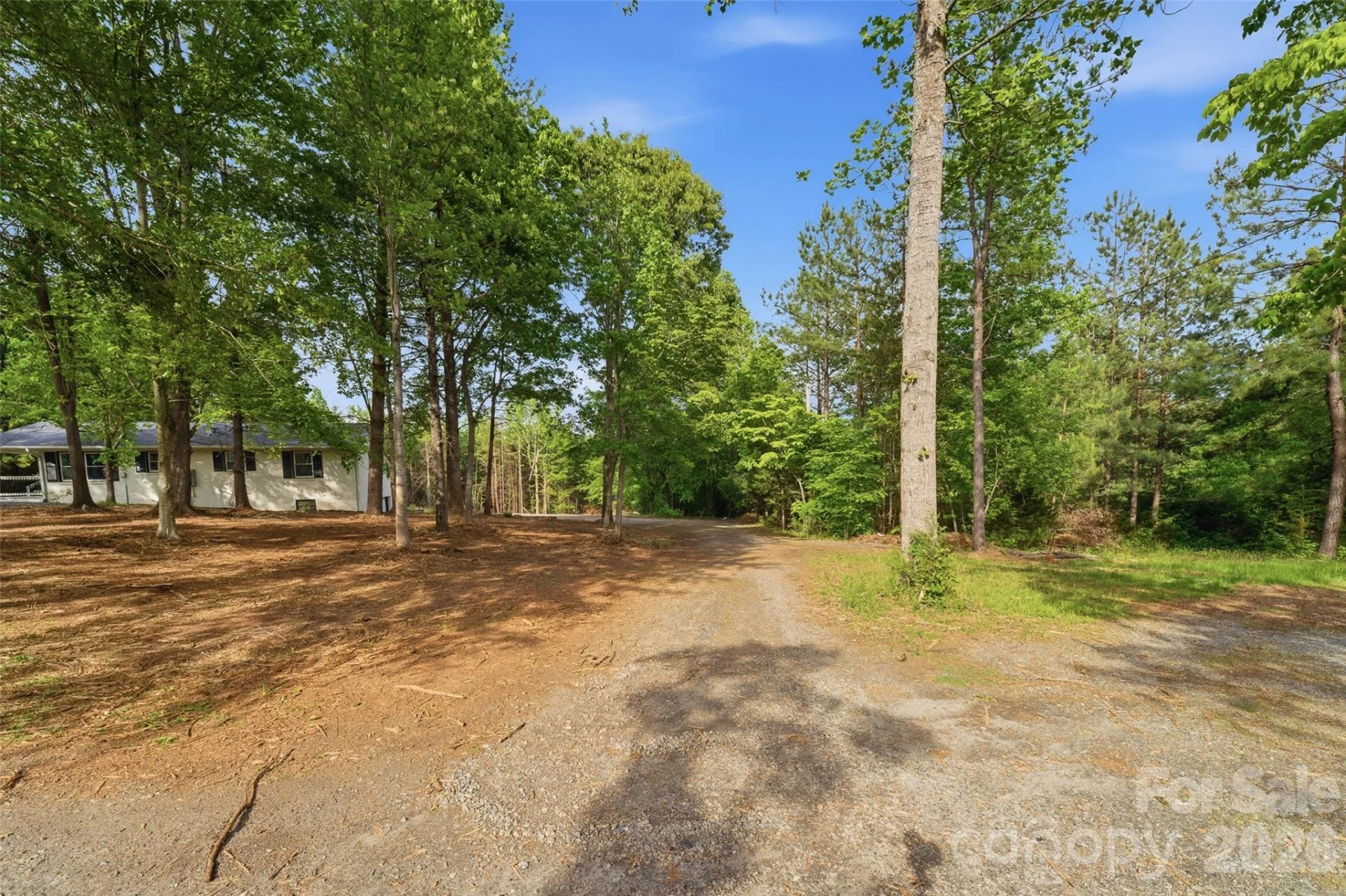 1335 Little Mountain Road - Photo 37