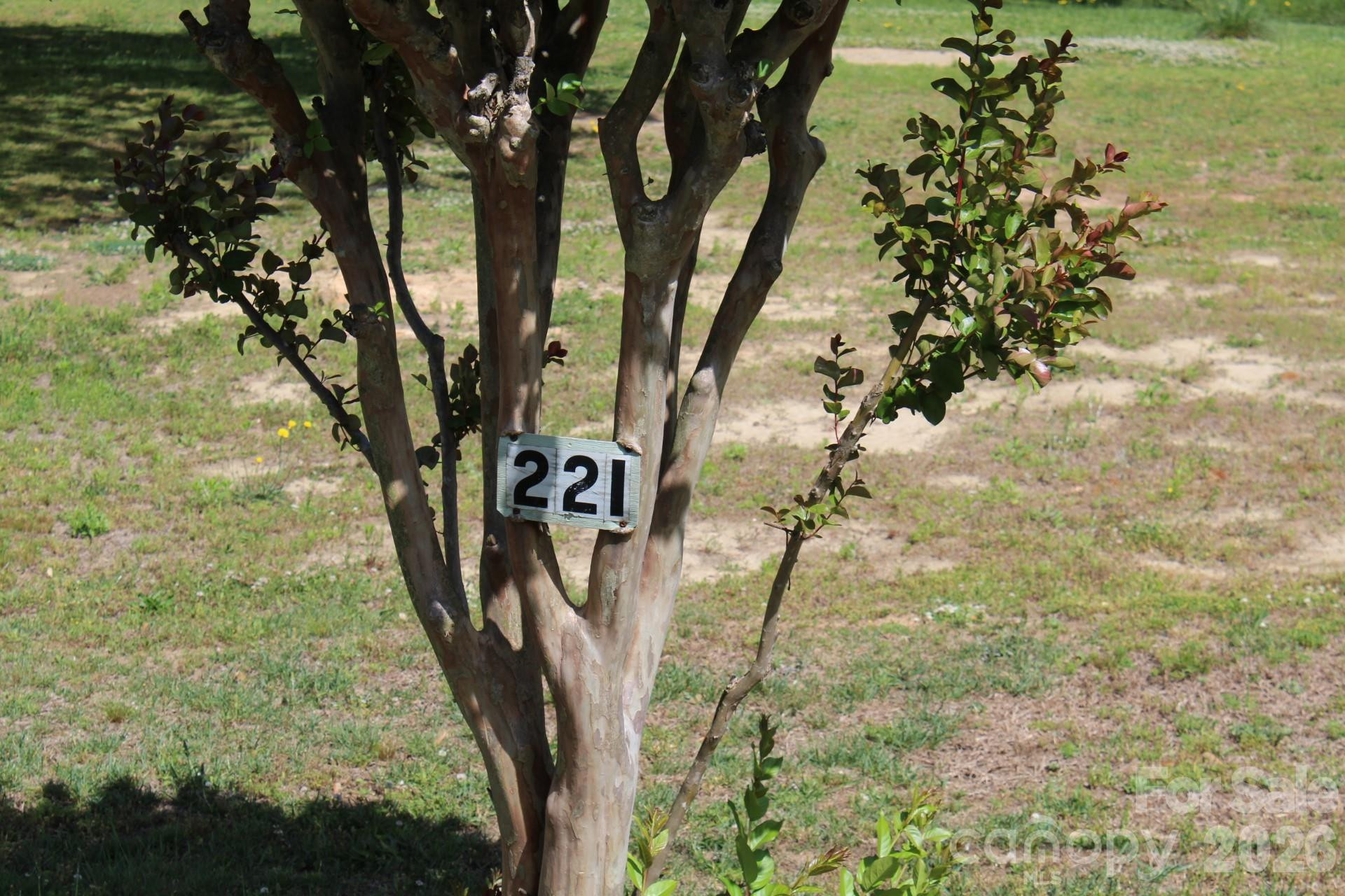 221 37th Street - Photo 11