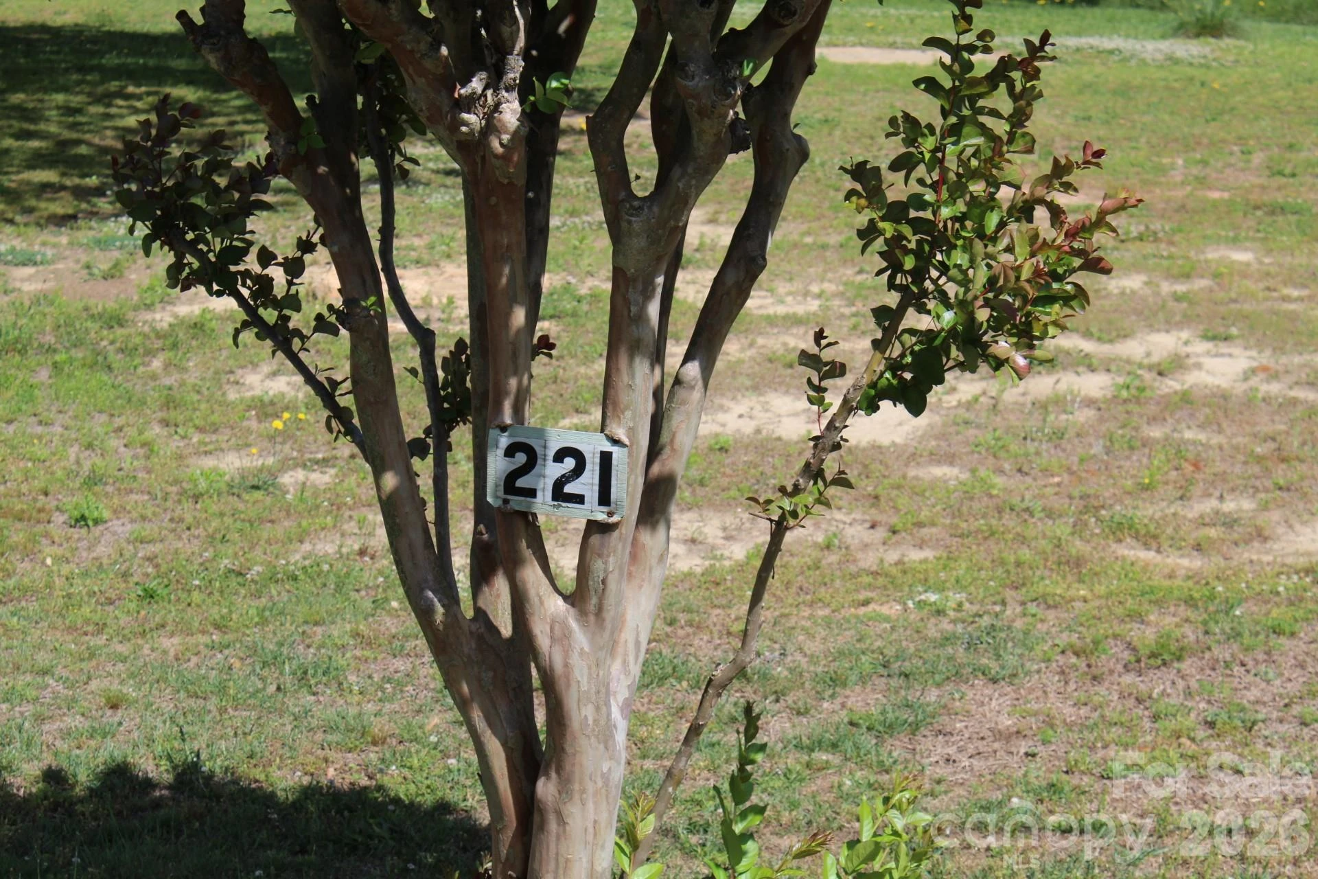 221 37th Street - Photo 11
