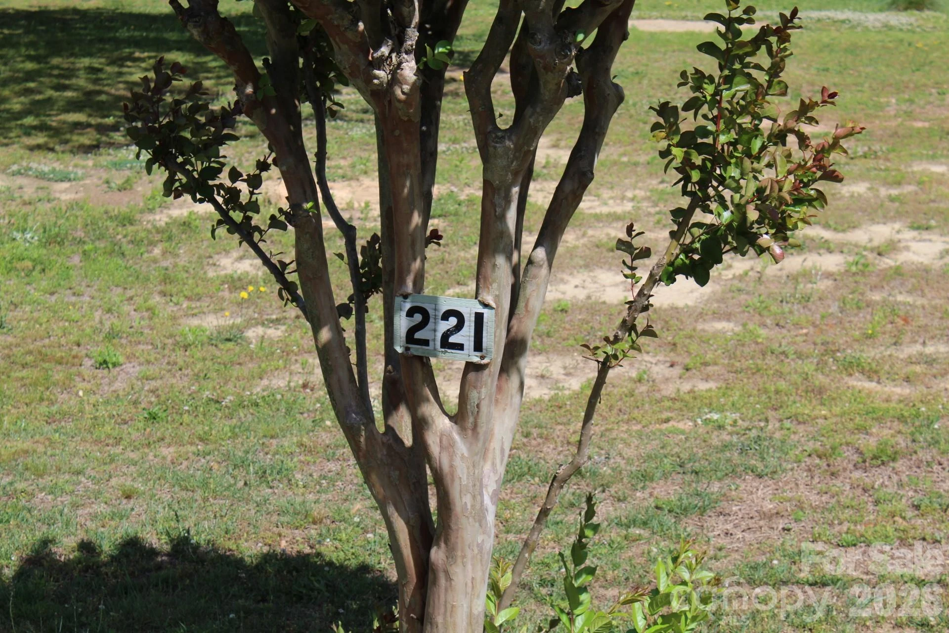 221 37th Street - Photo 3