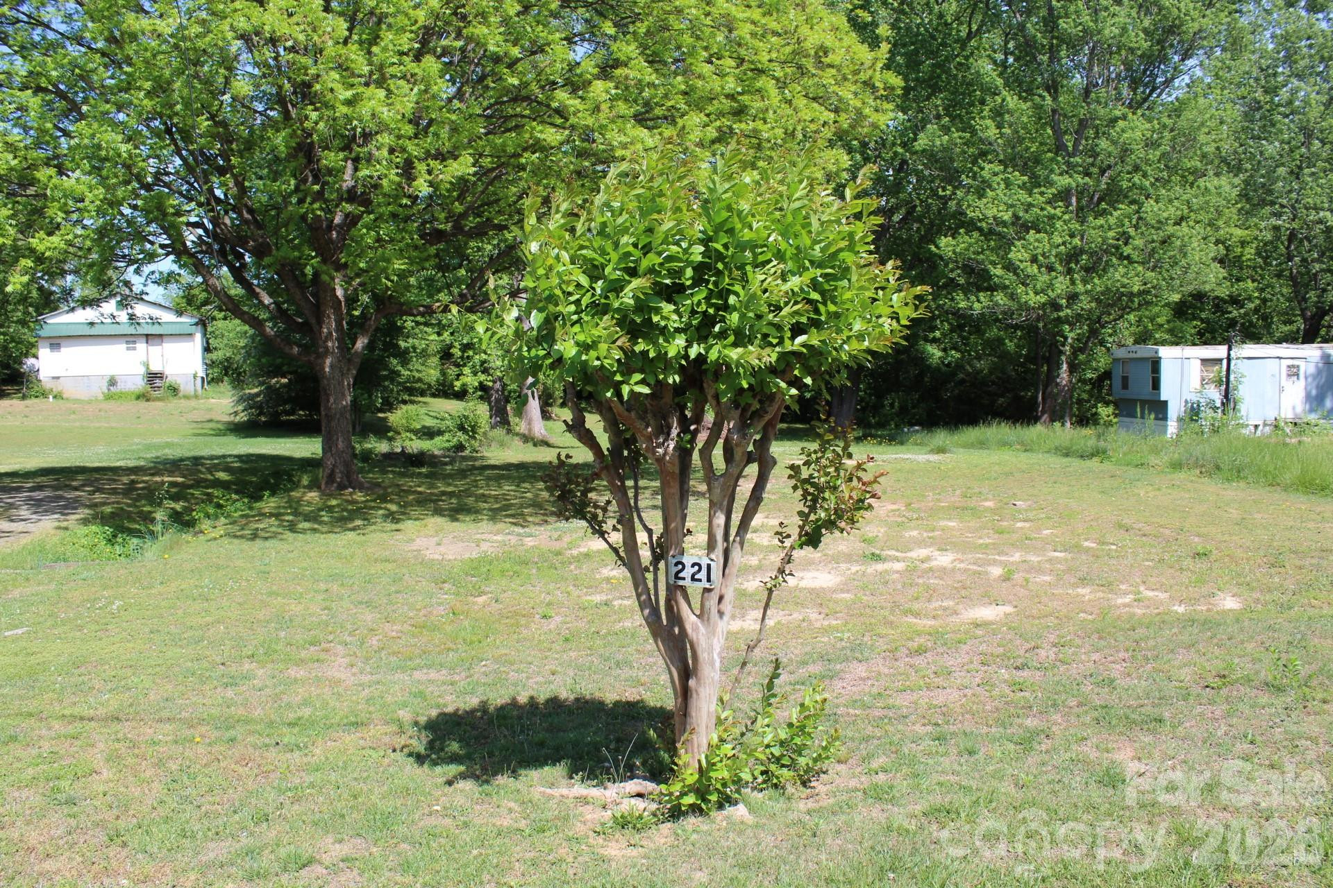 221 37th Street - Photo 4