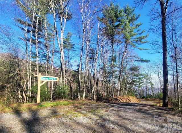 111 Digging Seng Trail, Waynesville, NC, 28785