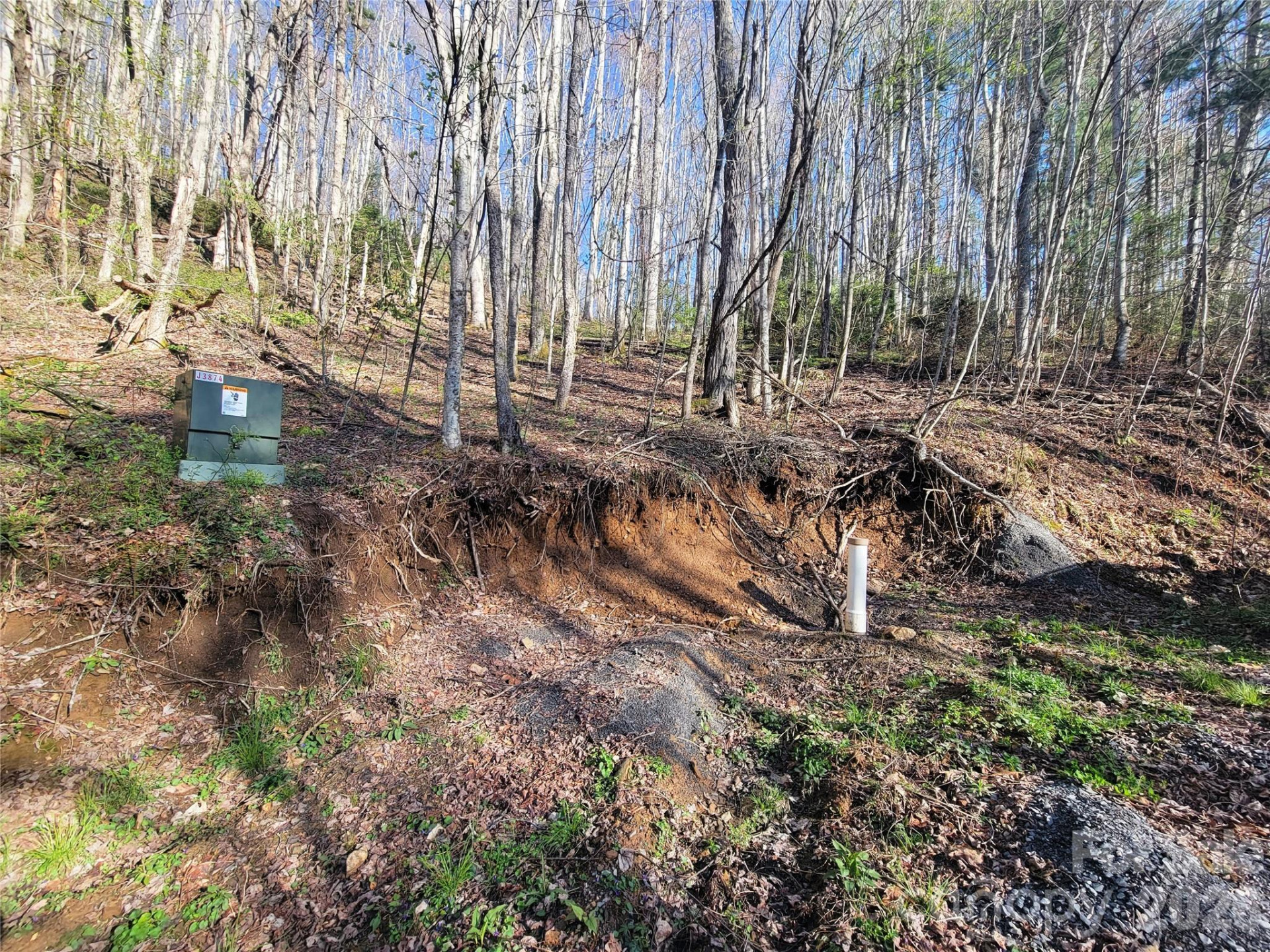 111 Digging Seng Trail #138 - Photo 2