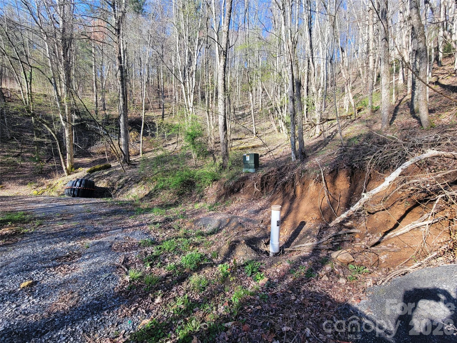 111 Digging Seng Trail #138 - Photo 11