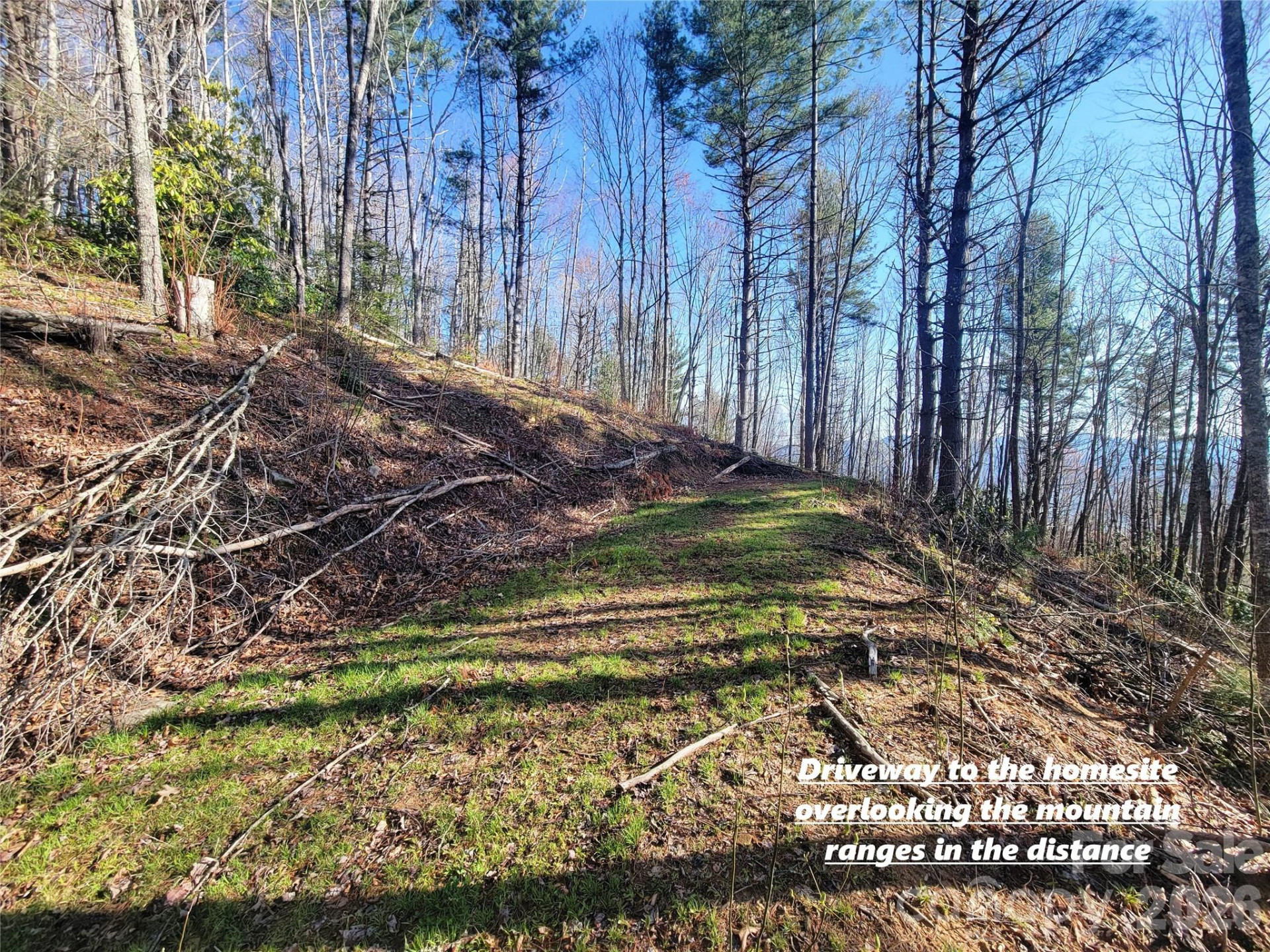 111 Digging Seng Trail #138 - Photo 12