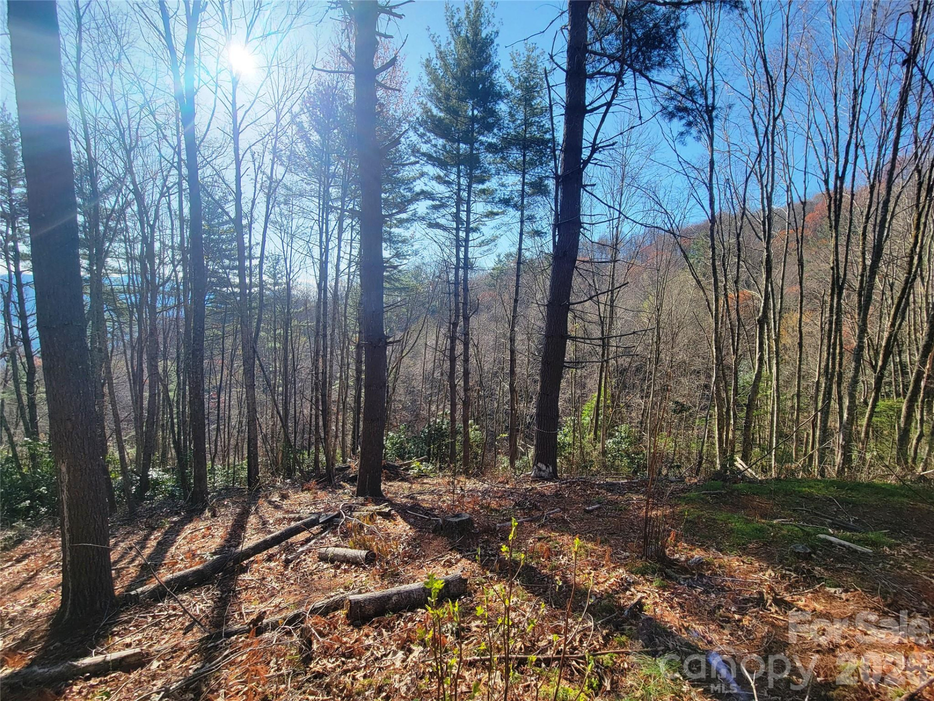 111 Digging Seng Trail #138 - Photo 13