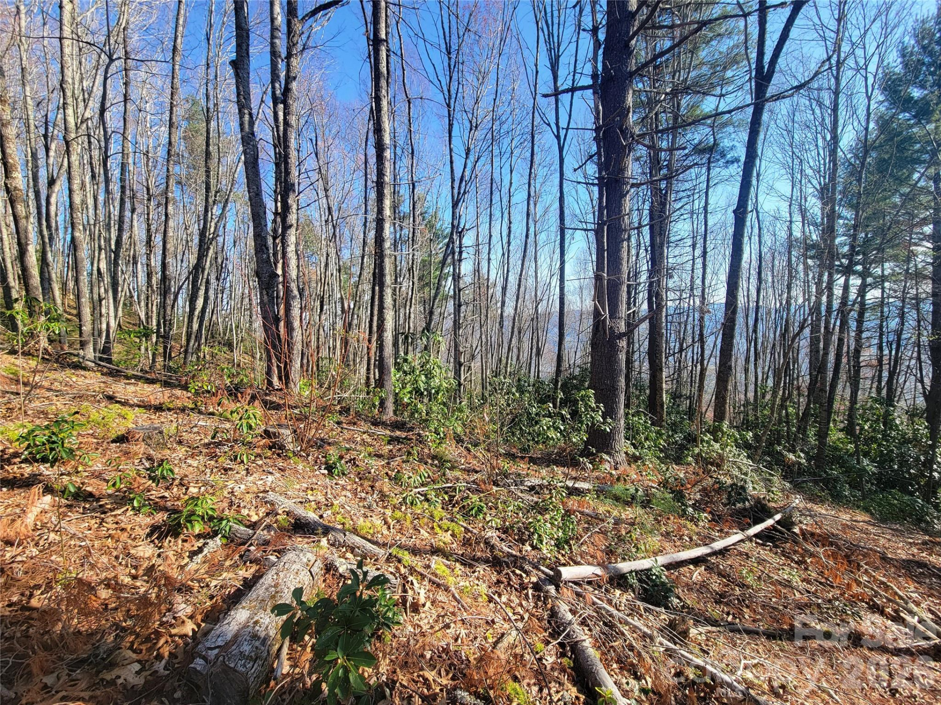 111 Digging Seng Trail #138 - Photo 9