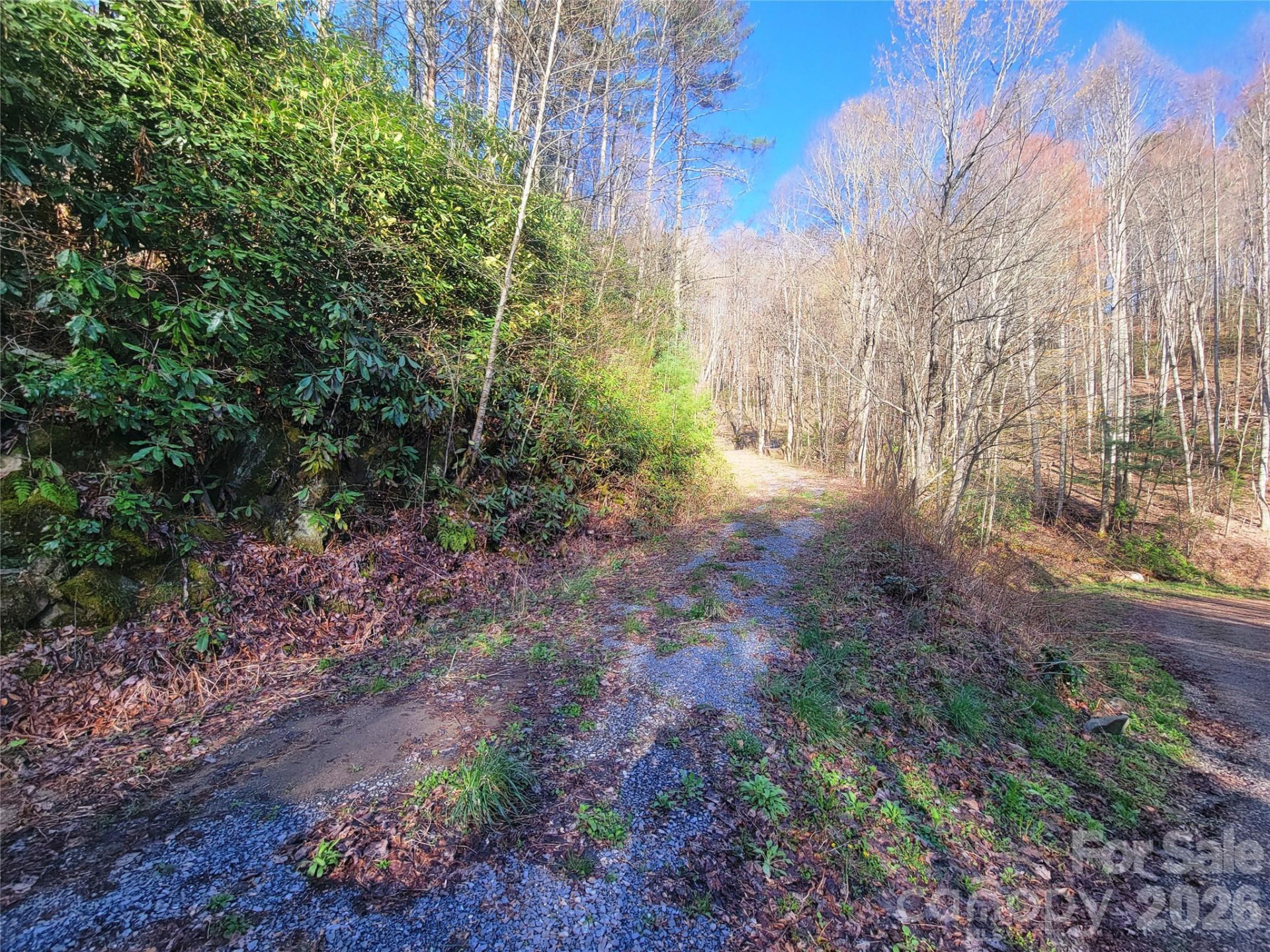 111 Digging Seng Trail #138 - Photo 10