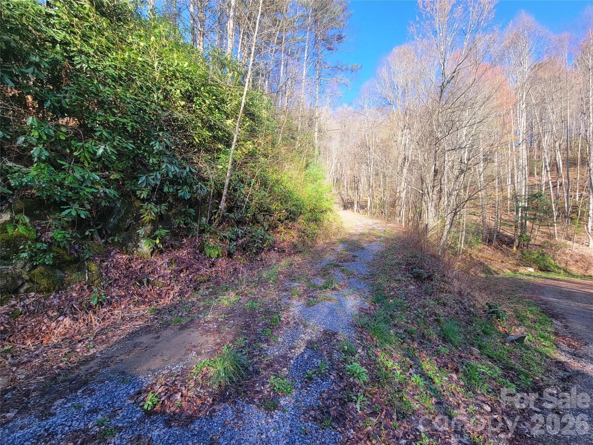 111 Digging Seng Trail #138 - Photo 10