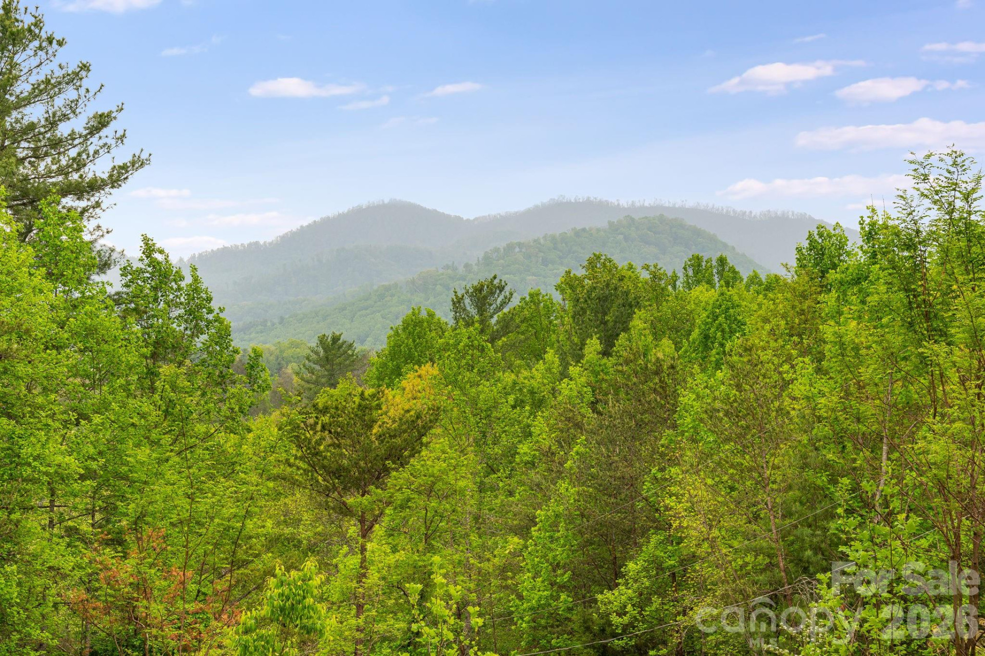 90 High Point Road - Photo 5