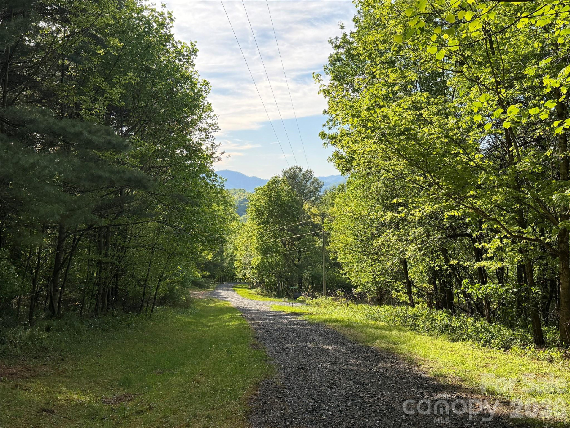 00000 Apple Farm Road - Photo 2