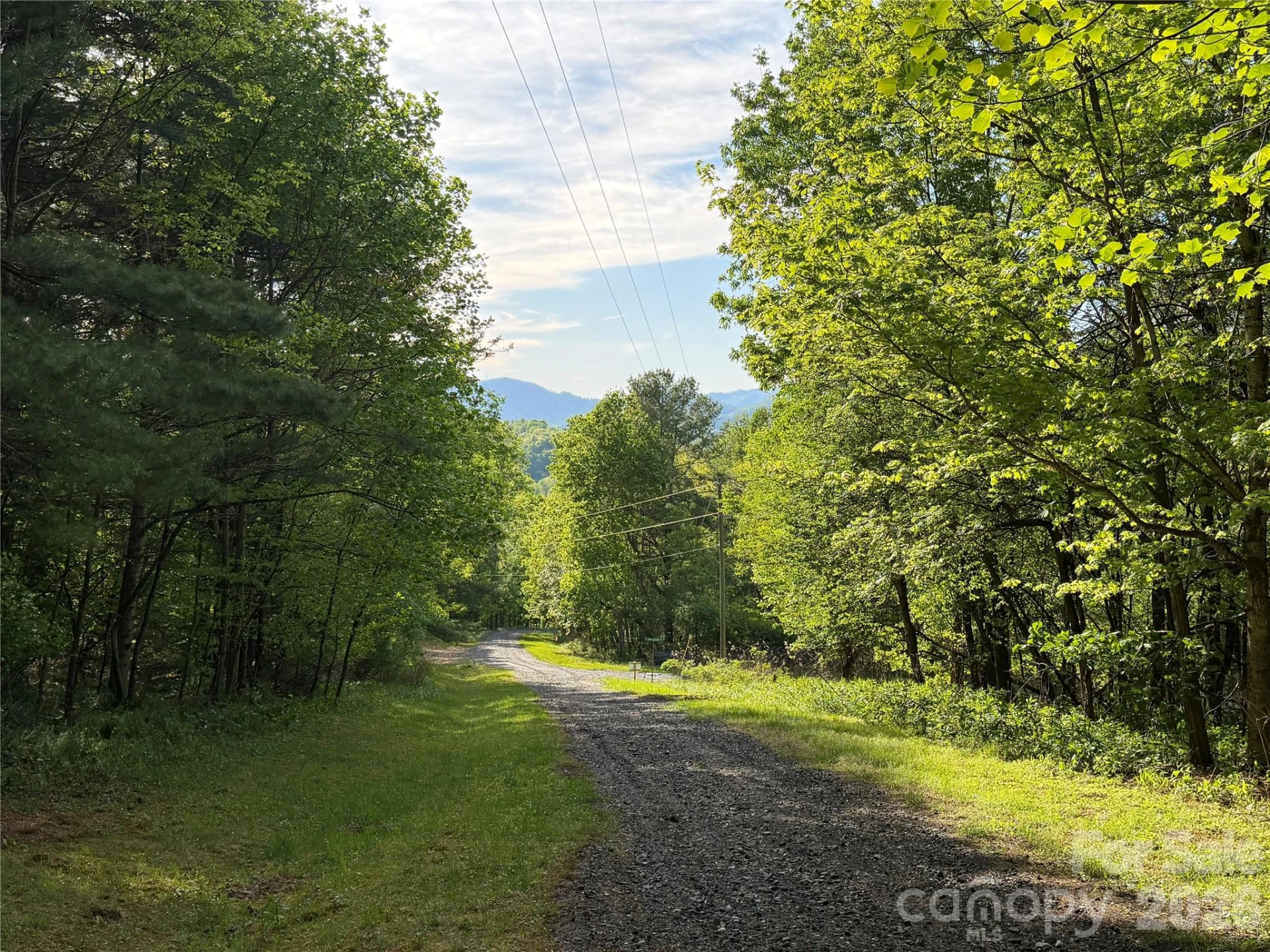 00000 Apple Farm Road - Photo 2