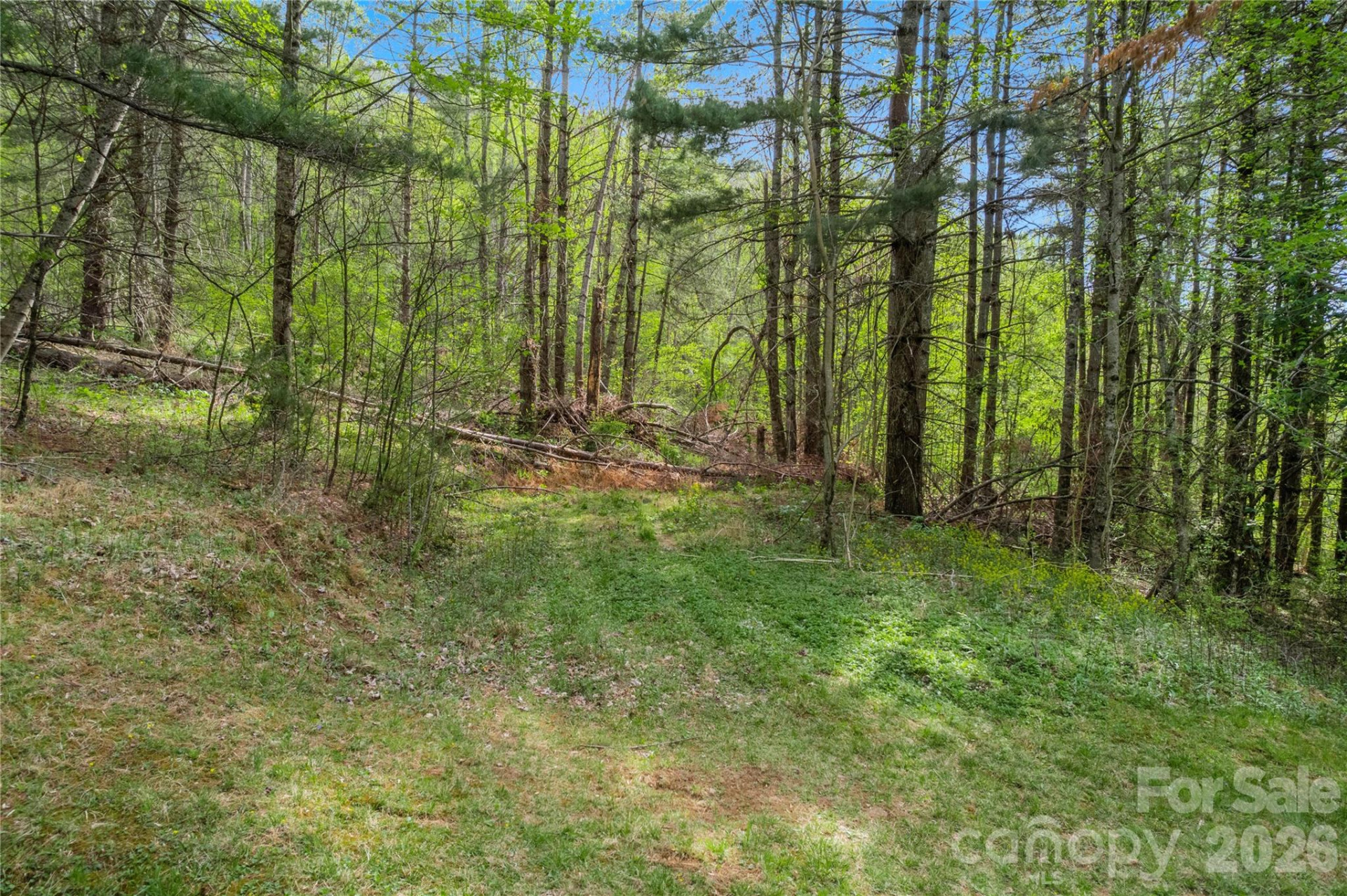 00000 Apple Farm Road - Photo 11