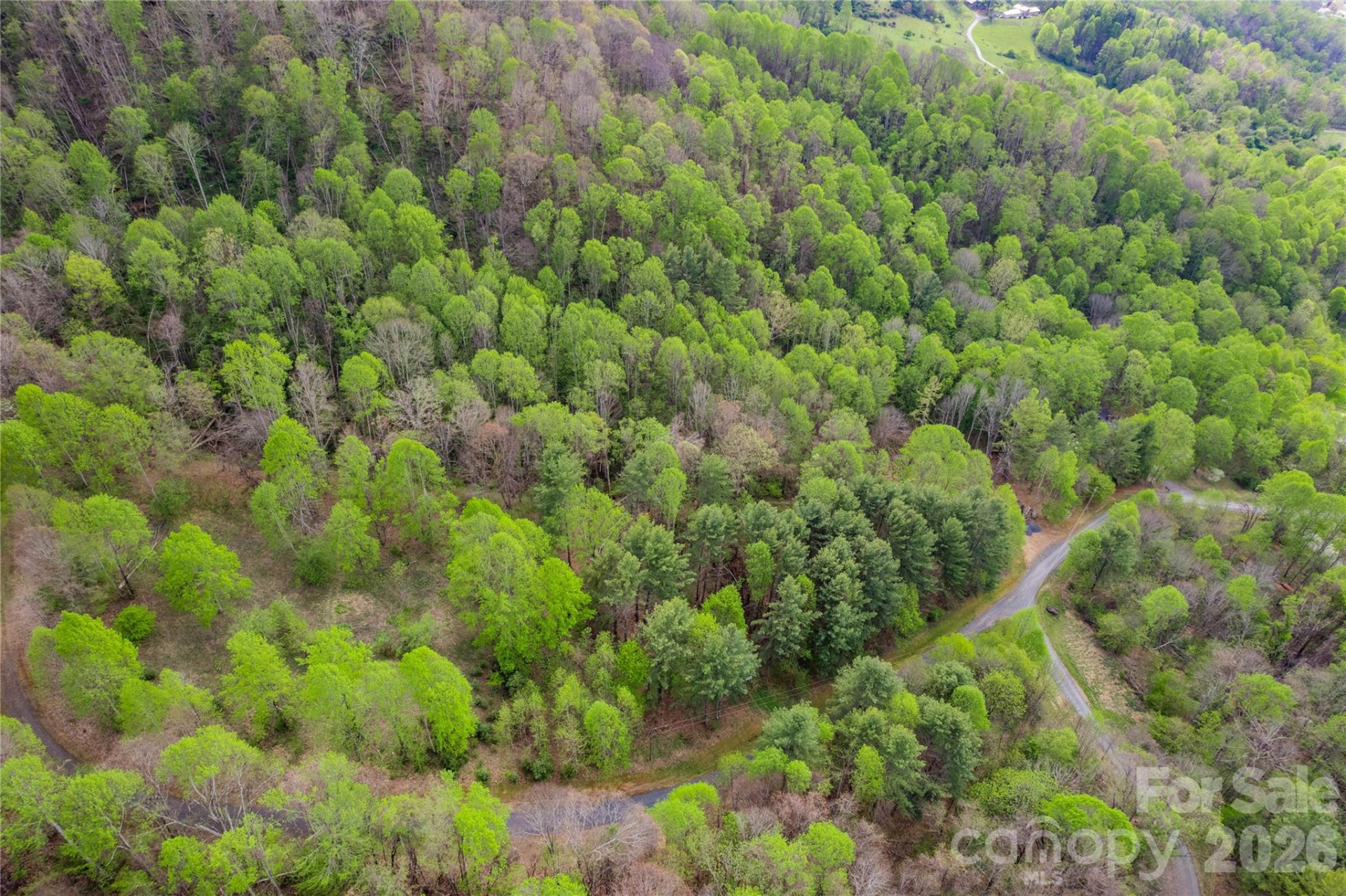00000 Apple Farm Road - Photo 12