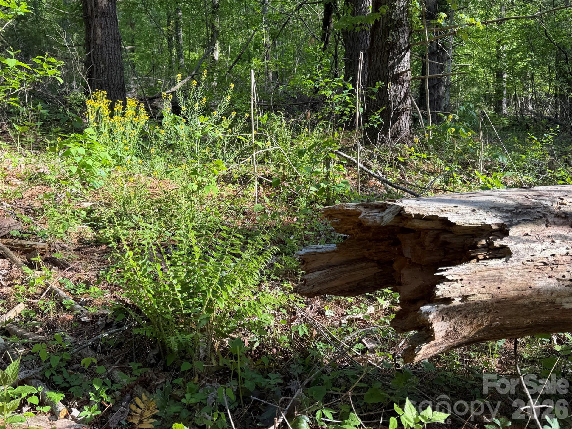 00000 Apple Farm Road - Photo 13