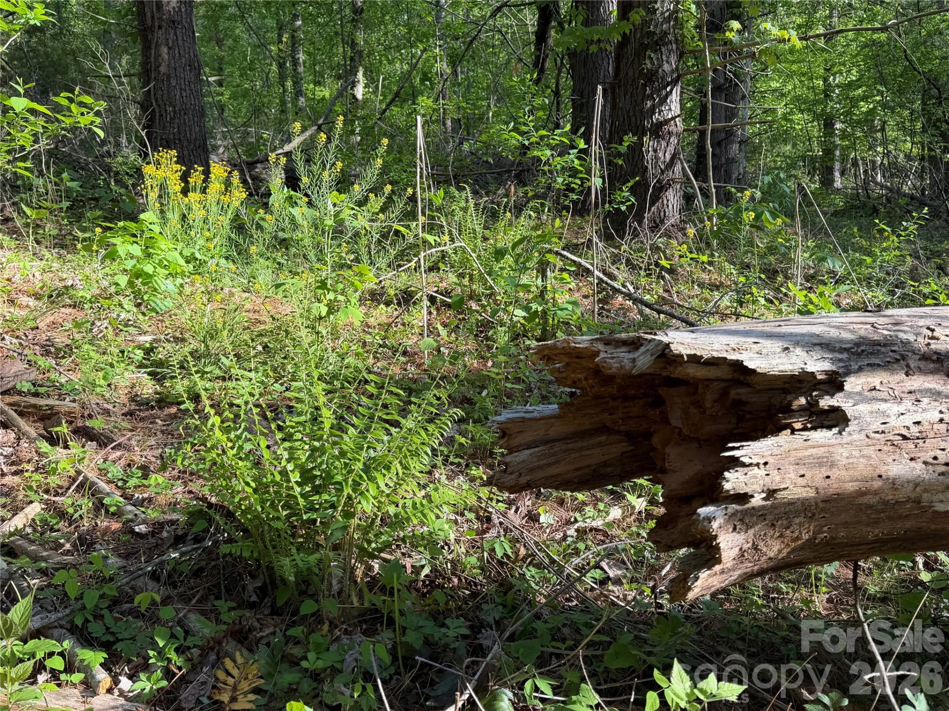 00000 Apple Farm Road - Photo 14