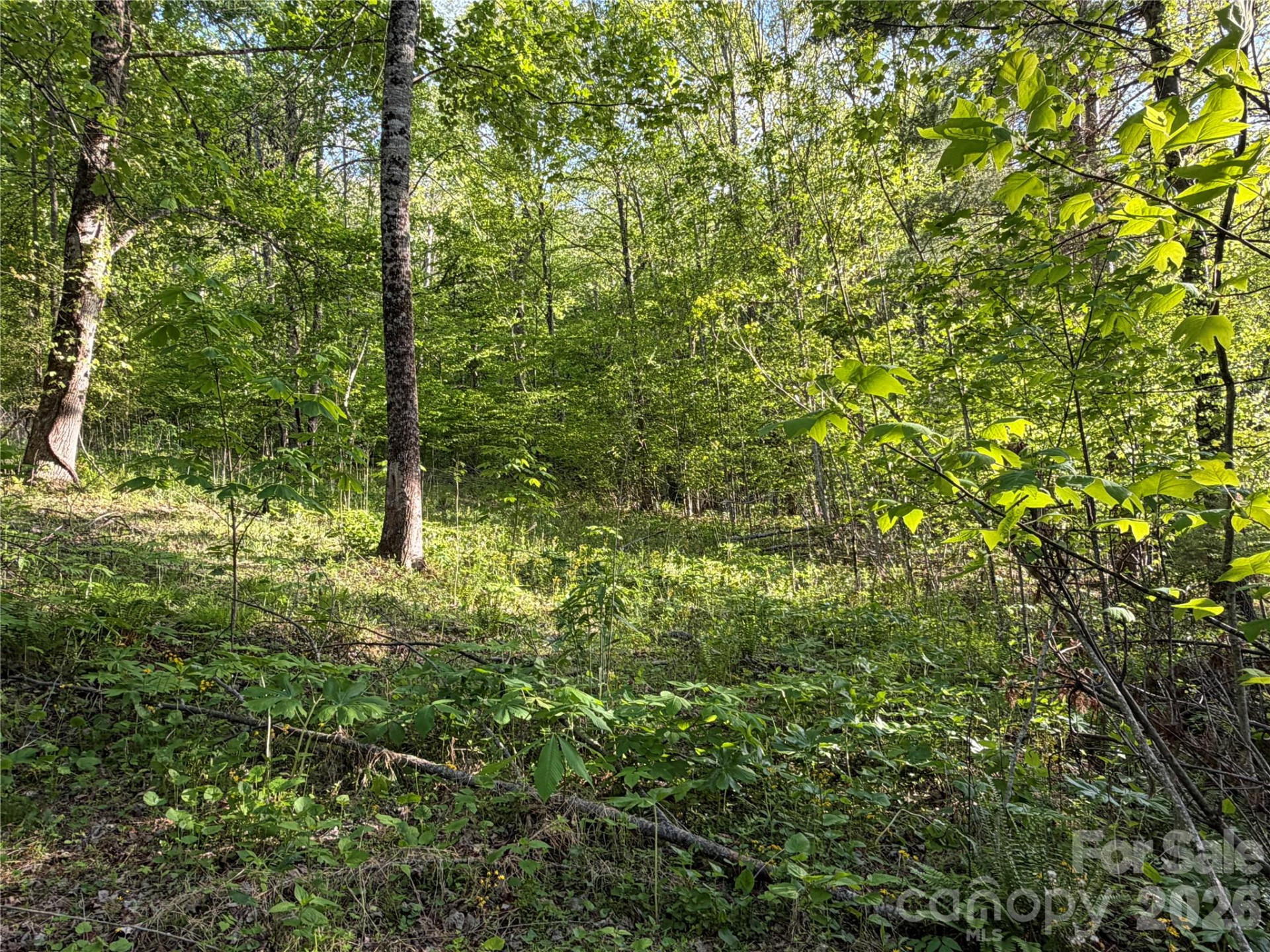 00000 Apple Farm Road - Photo 15