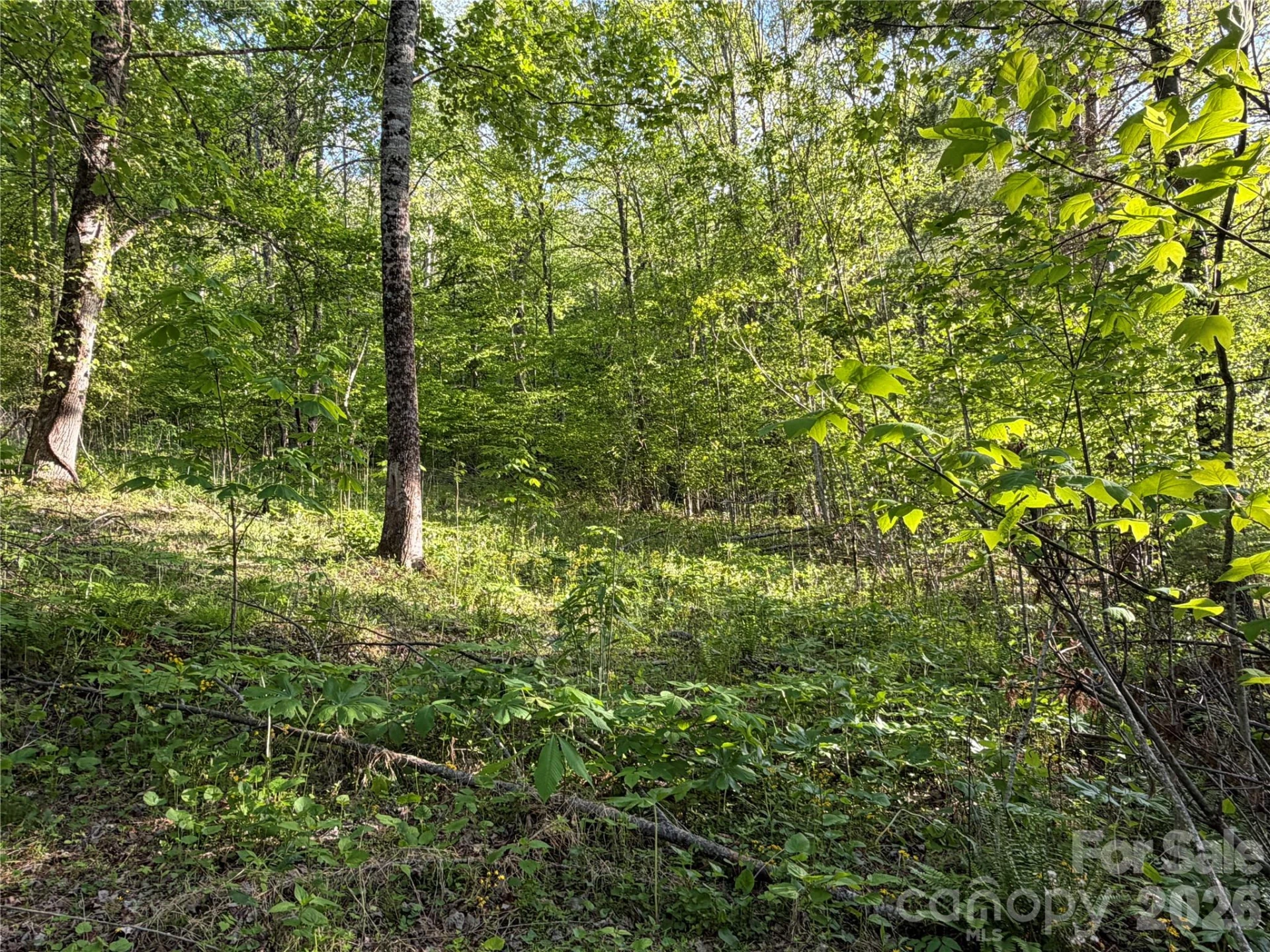 00000 Apple Farm Road - Photo 16