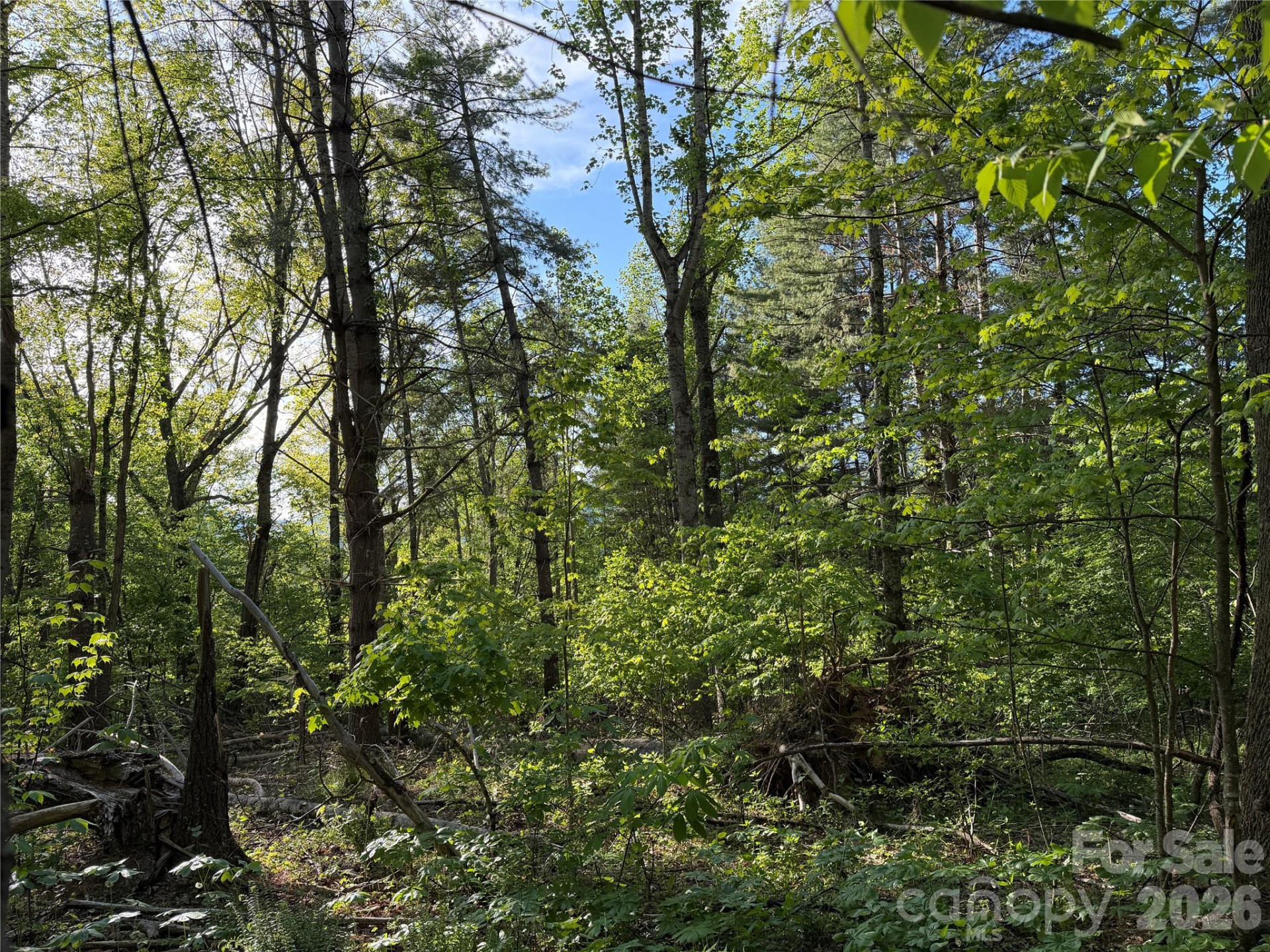 00000 Apple Farm Road - Photo 16