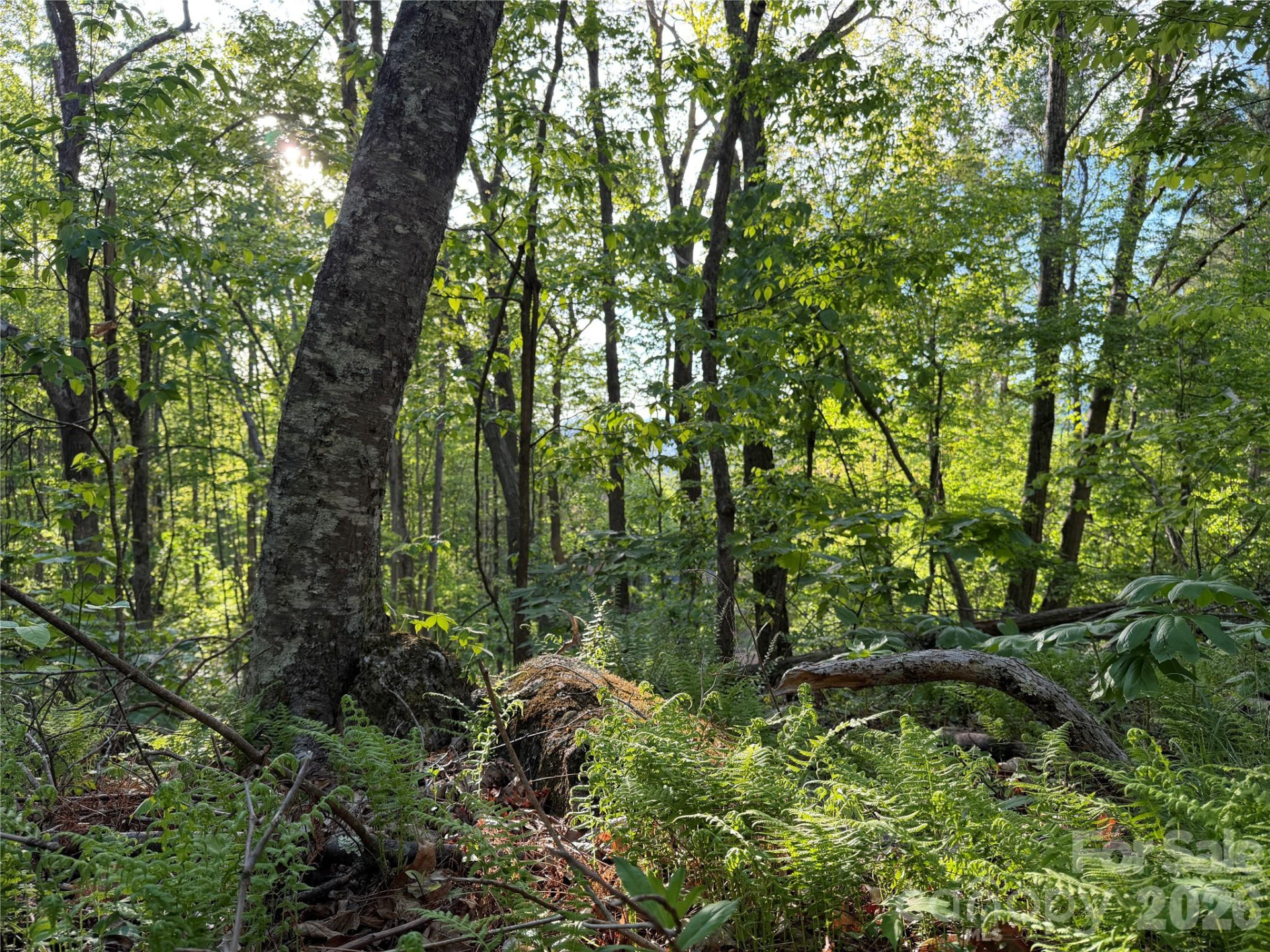 00000 Apple Farm Road - Photo 21