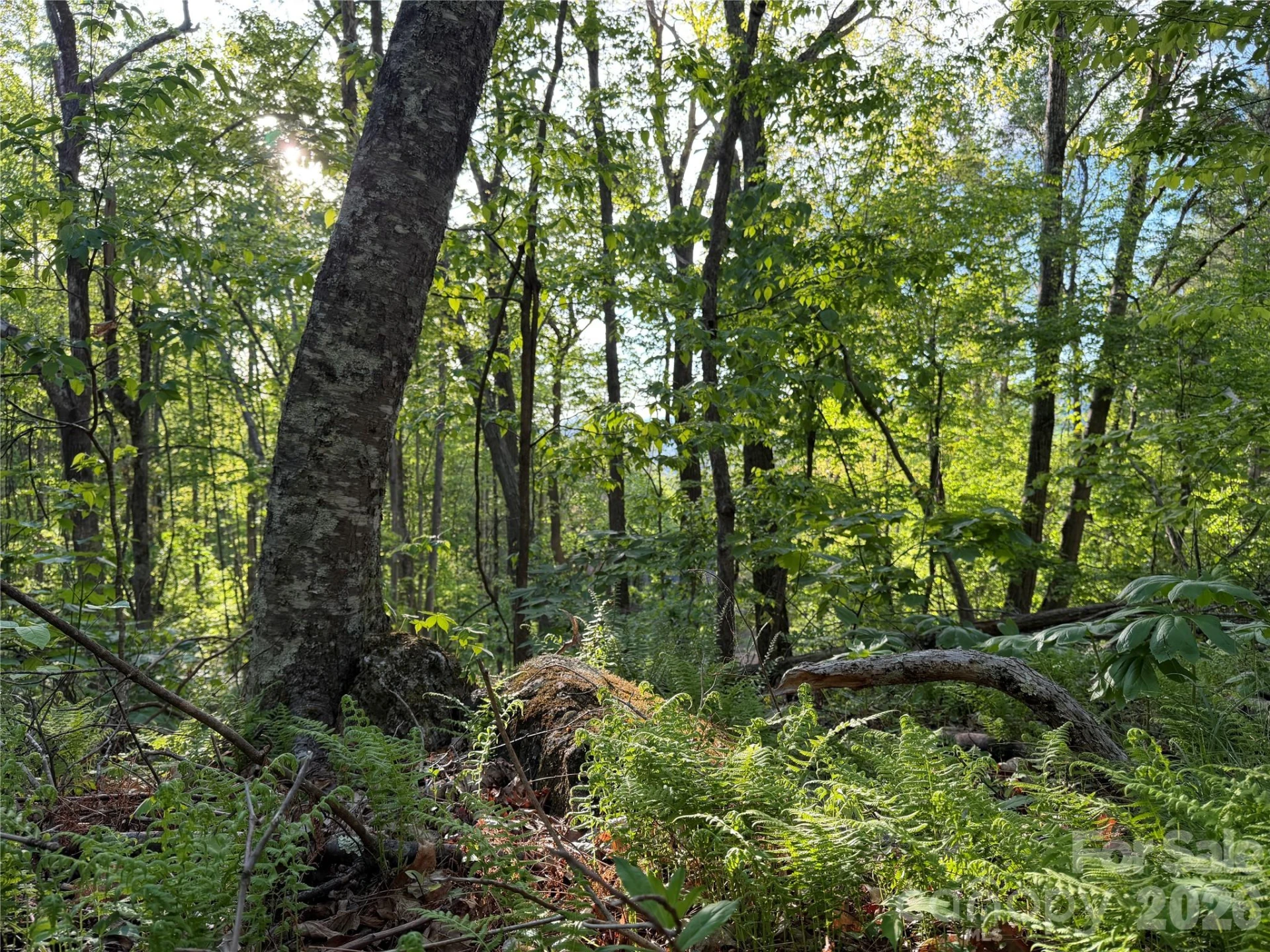 00000 Apple Farm Road - Photo 22