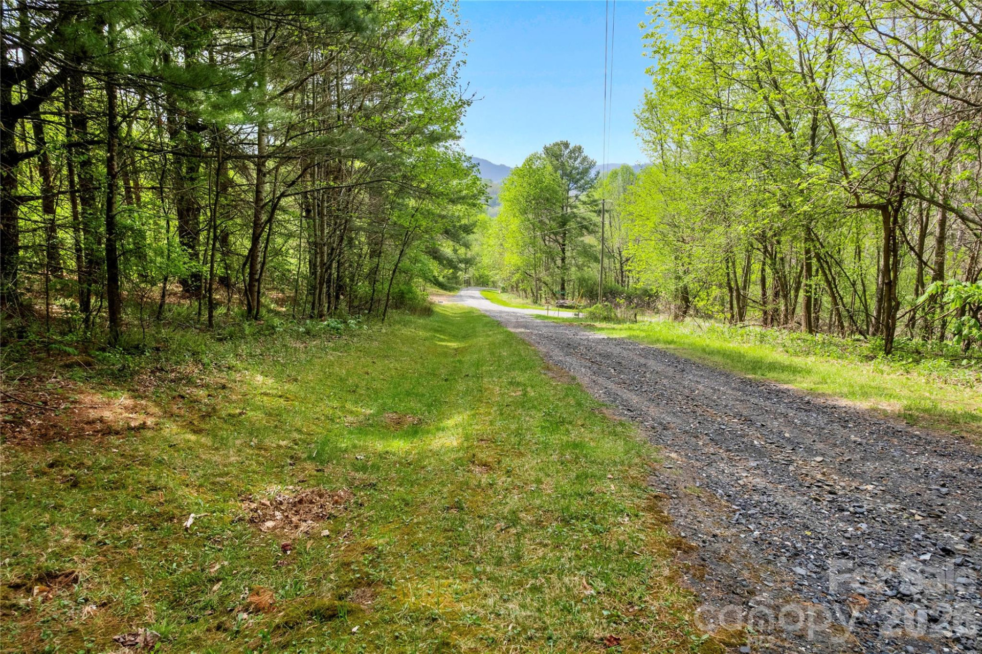 00000 Apple Farm Road - Photo 8